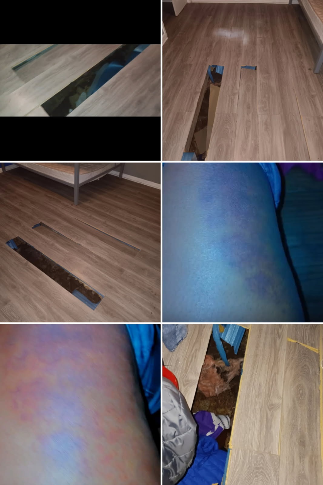 Urgent Help for Briana's Home Repairs campaign photo, 4 of 8
