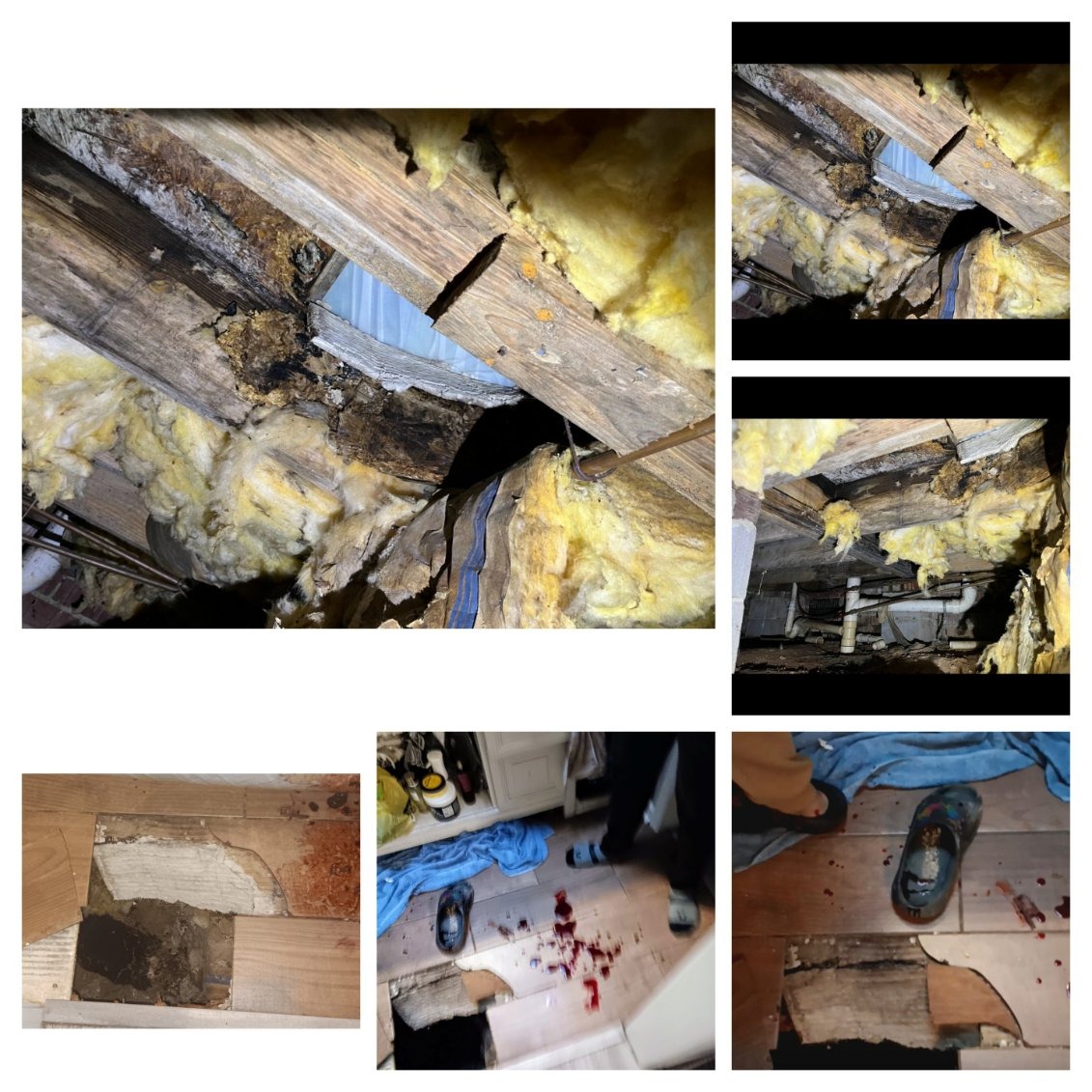 Urgent Help for Briana's Home Repairs campaign photo, 6 of 8