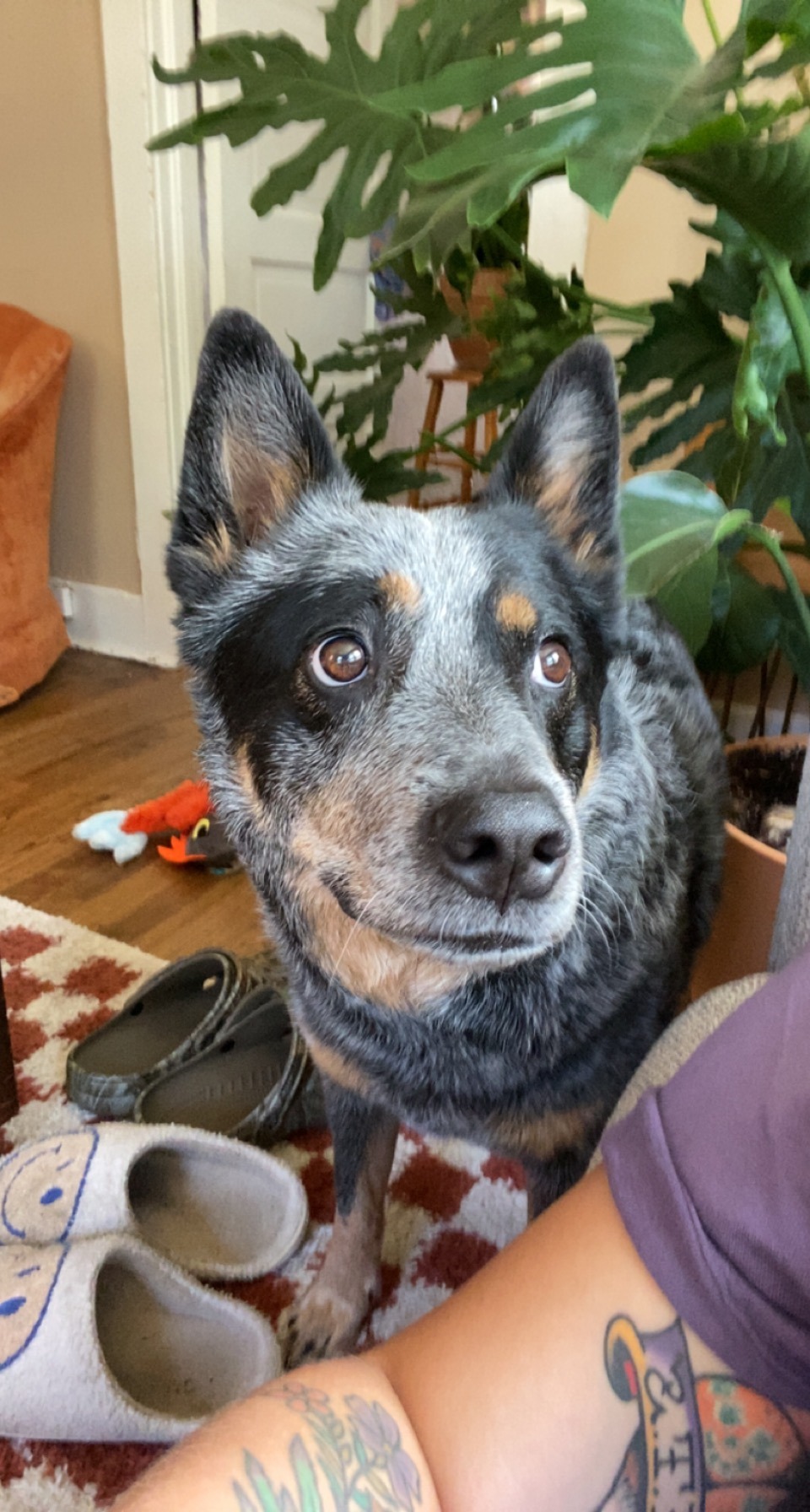 HELP APOLLO BEAT CANCER campaign photo, 6 of 6
