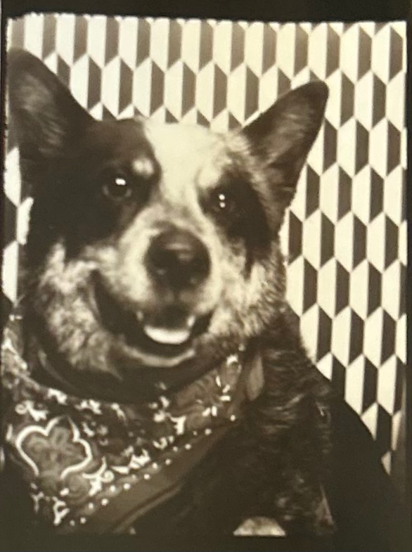 HELP APOLLO BEAT CANCER campaign photo, 2 of 6