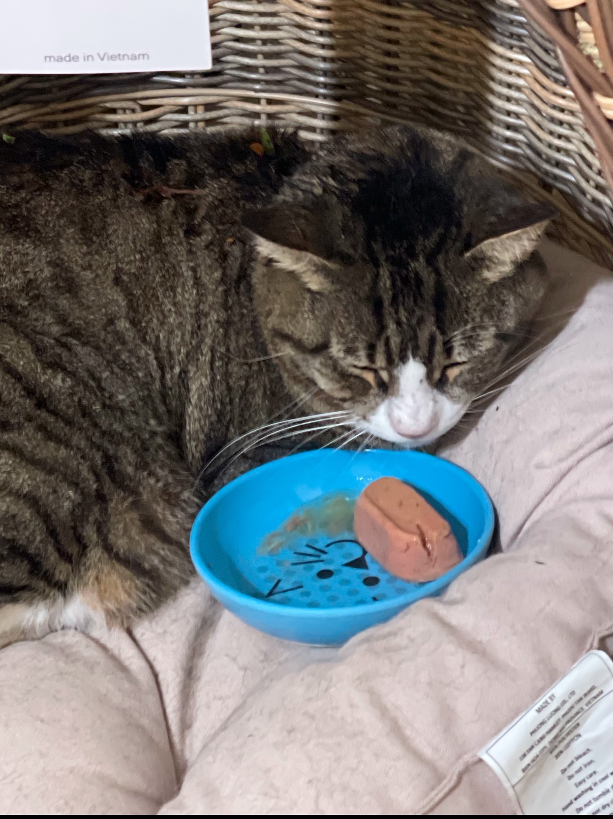 Help Save Our Sweet Boy's Life campaign photo, 5 of 6