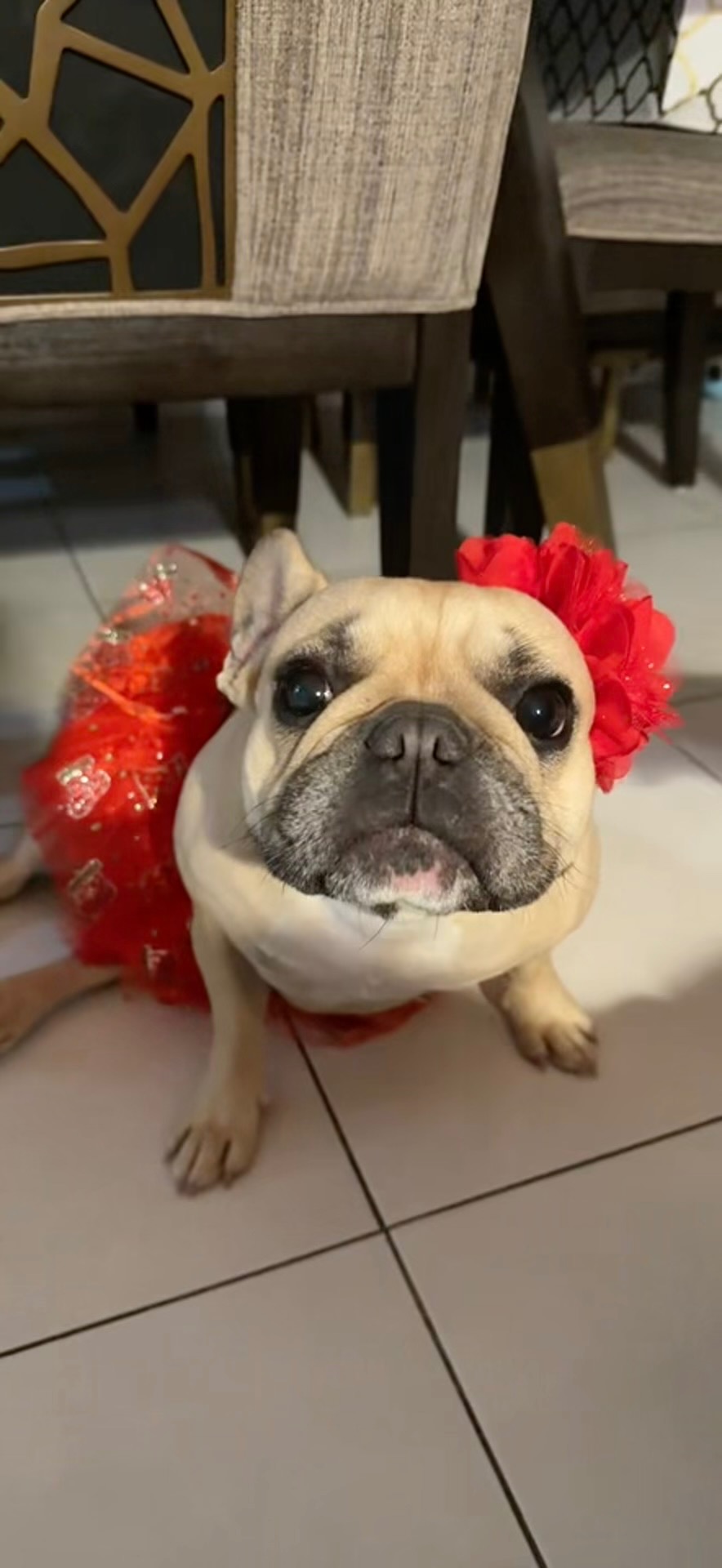 Help Princess Get Life-Saving Surgery campaign photo, 6 of 7