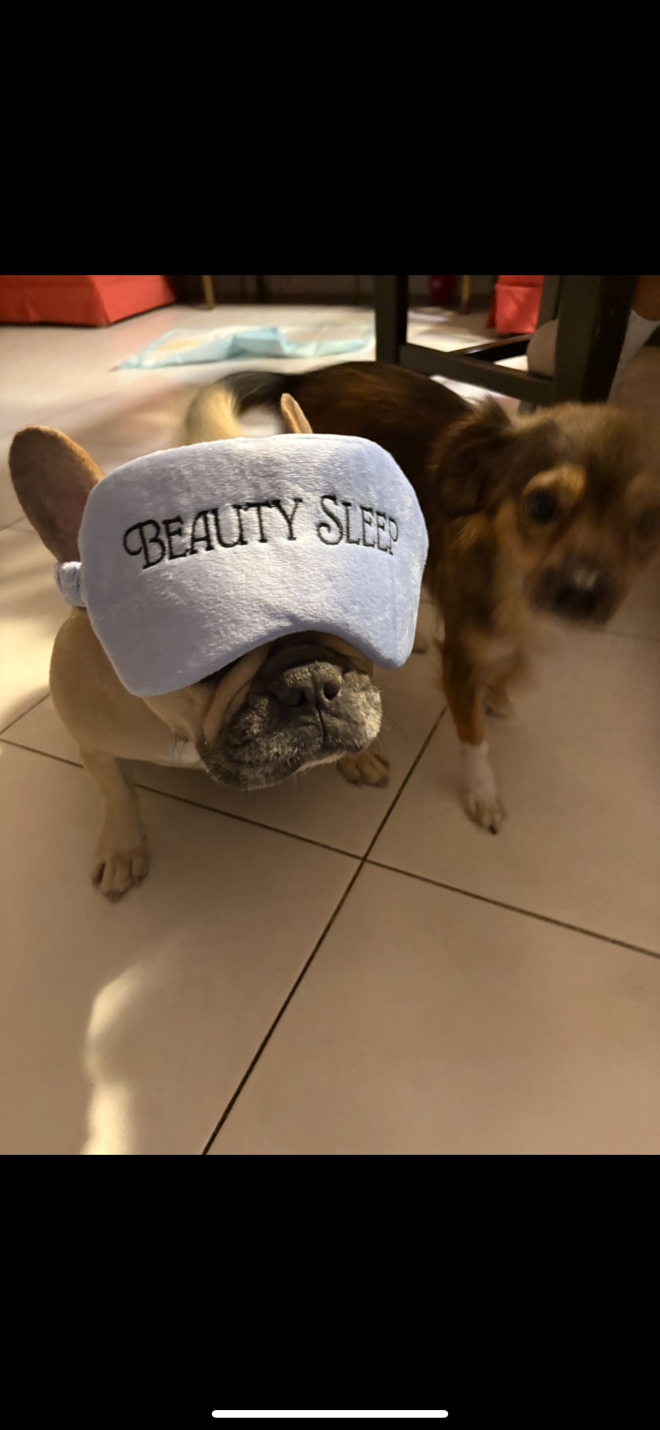 Help Princess Get Life-Saving Surgery campaign photo, 4 of 7