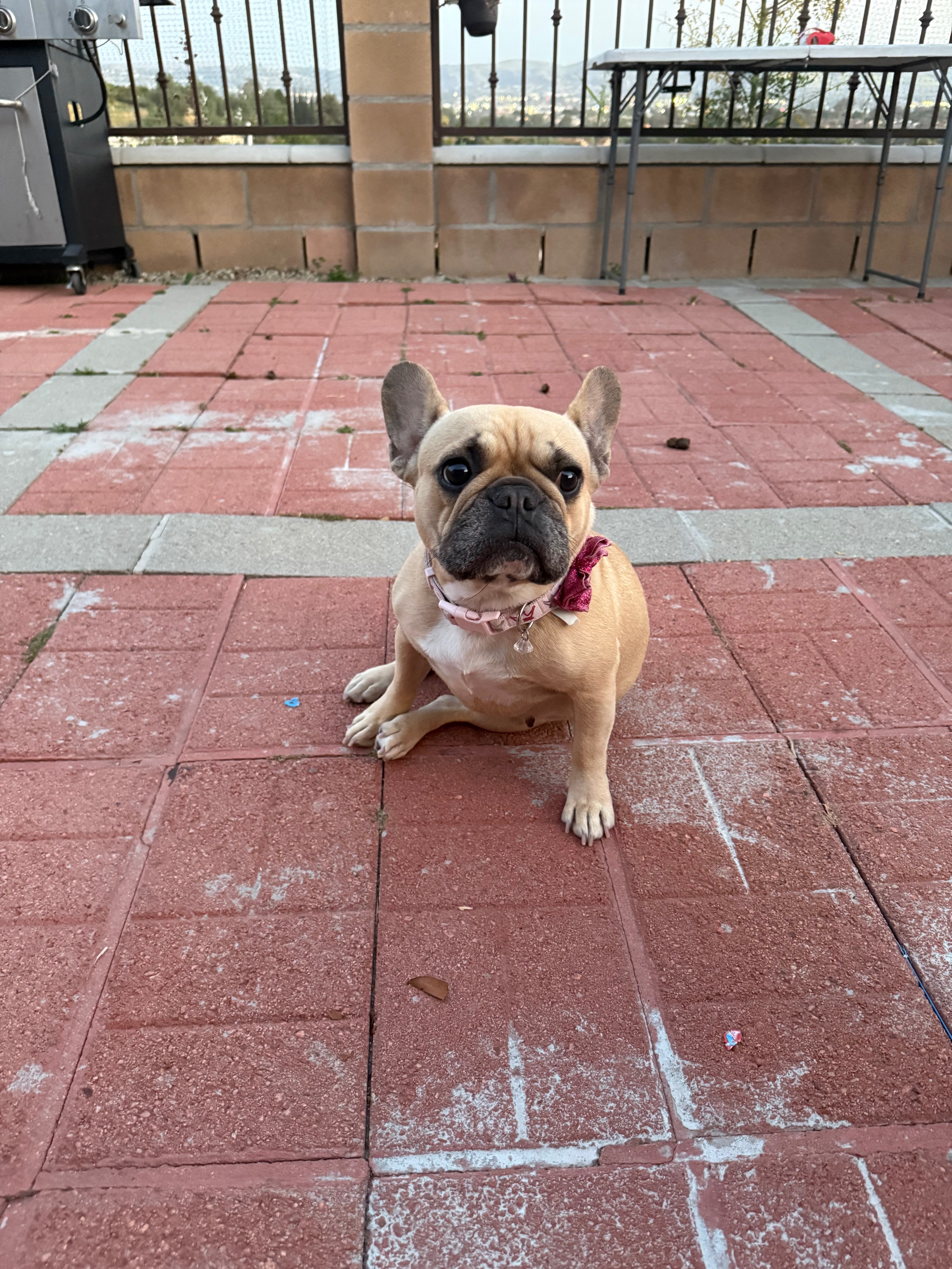Help Princess Get Life-Saving Surgery campaign photo, 5 of 7