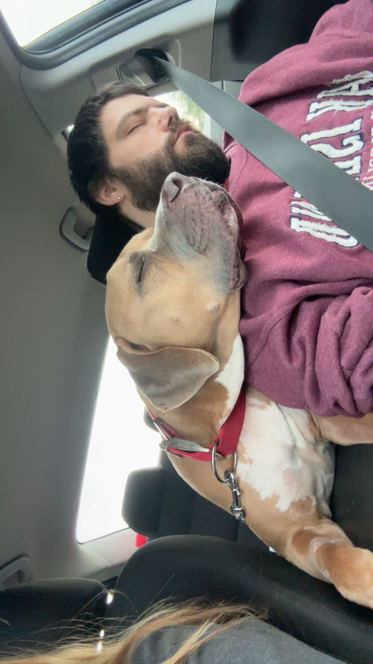 Support Needed After Losing Our Beloved Dallas campaign photo, 5 of 6