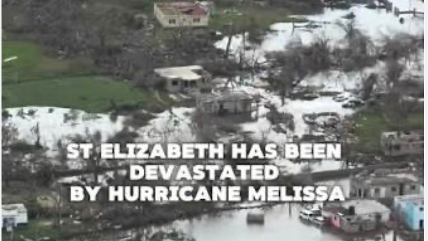 Help Us Help Our Family Affected By Melissa pinned link photo