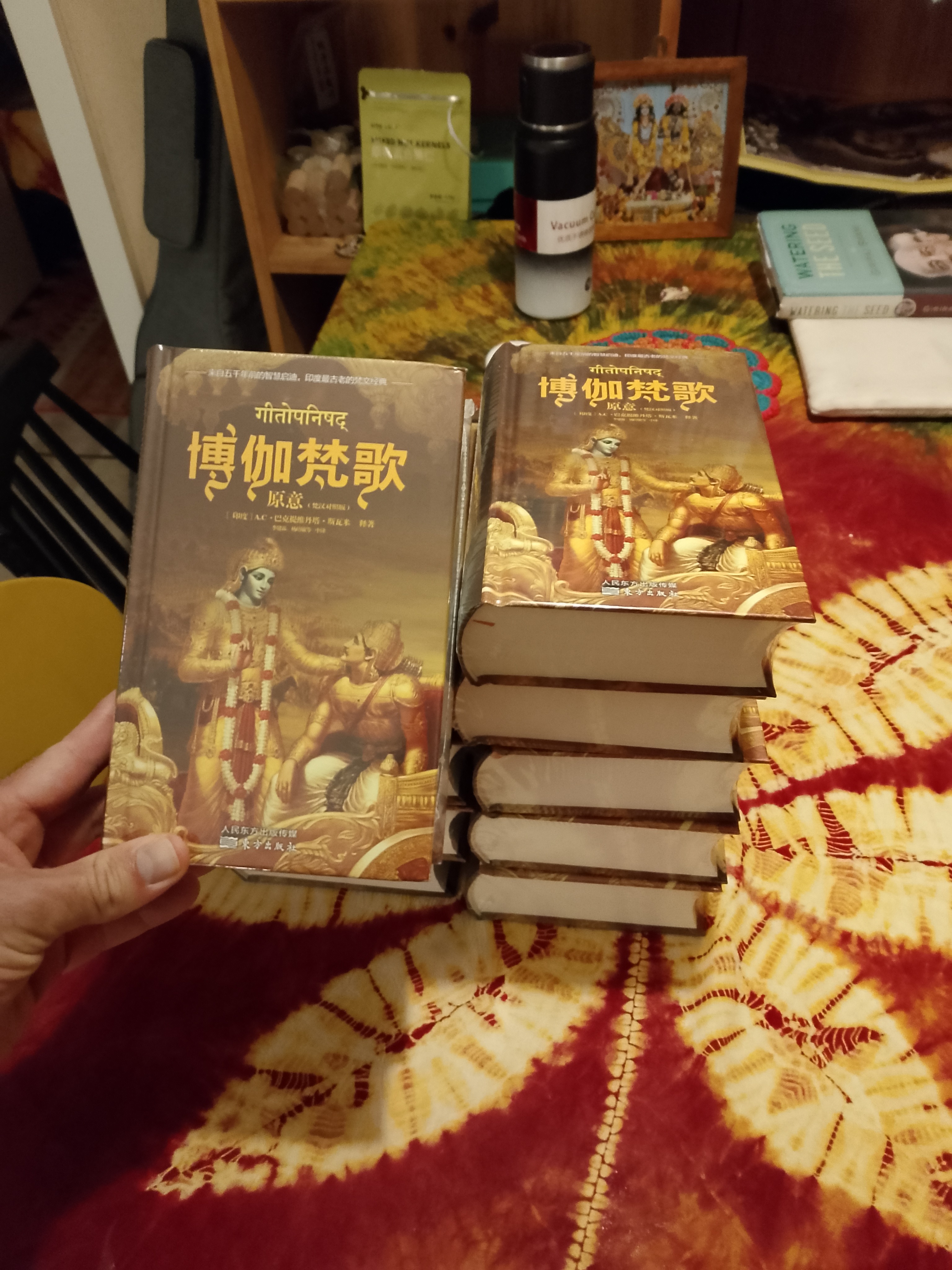 Bringing the Wisdom of the Bhagavad Gita to China campaign photo, 6 of 8