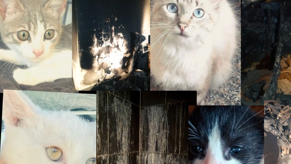 Dall’incendio alla speranza: aiutateci a ricominciare