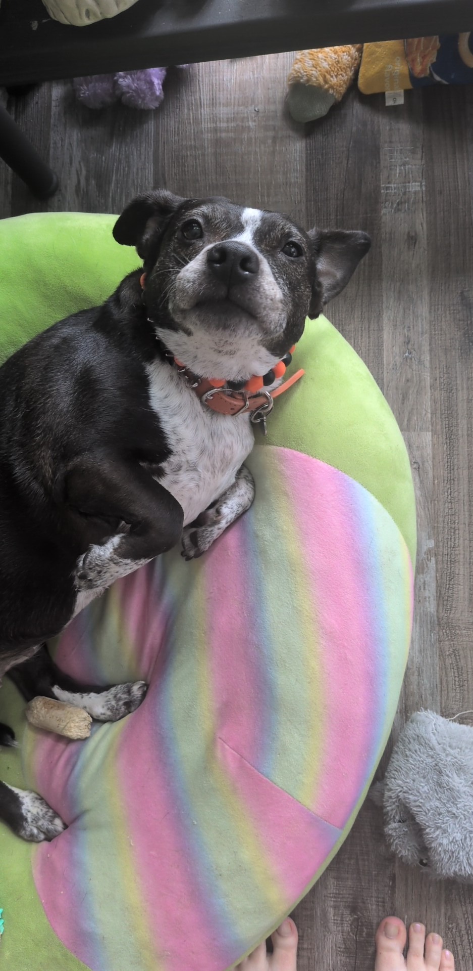 Help Winifred Get the Medical Care She Deserves campaign photo, 2 of 8