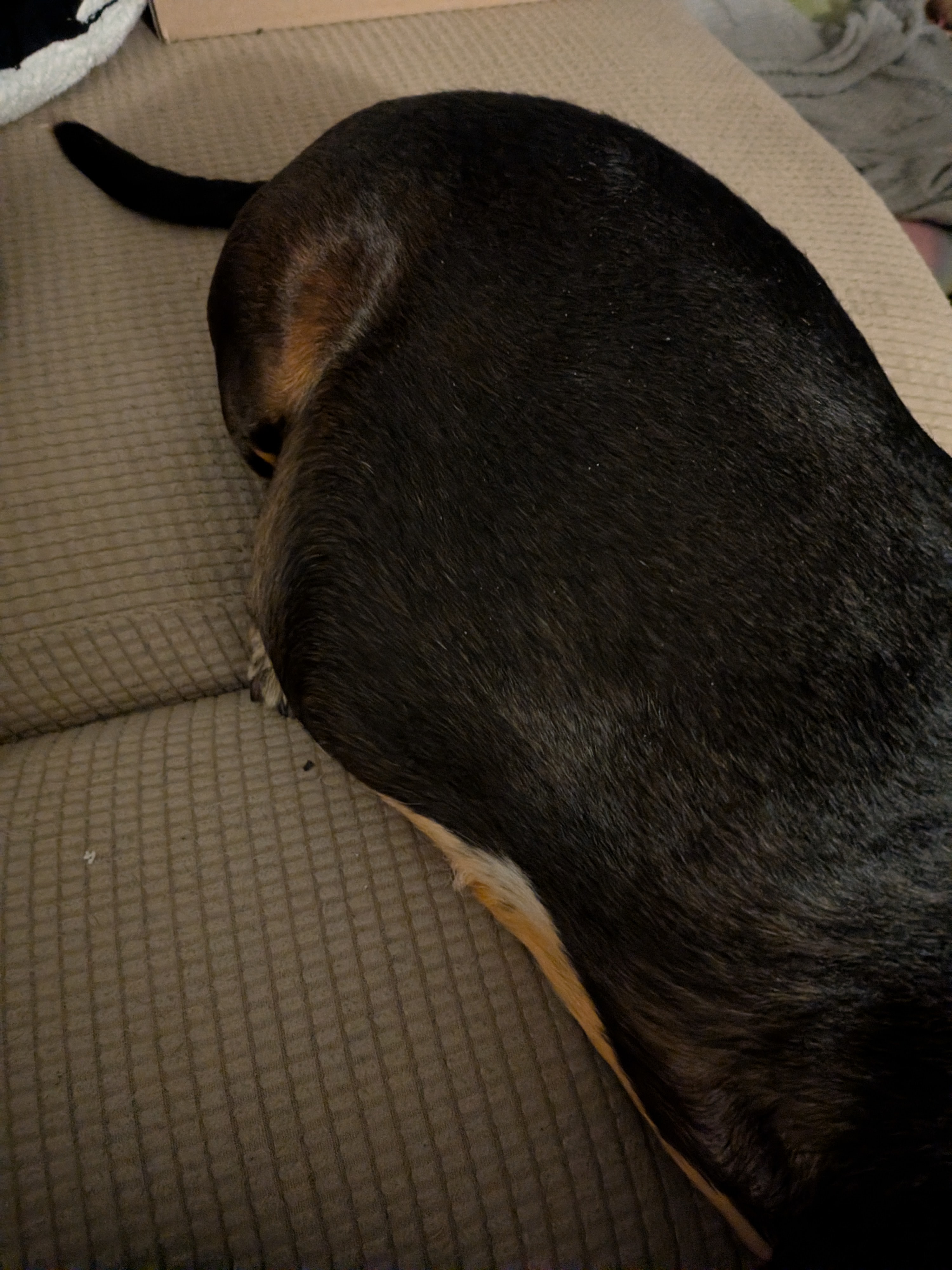 Help Winifred Get the Medical Care She Deserves campaign photo, 4 of 8