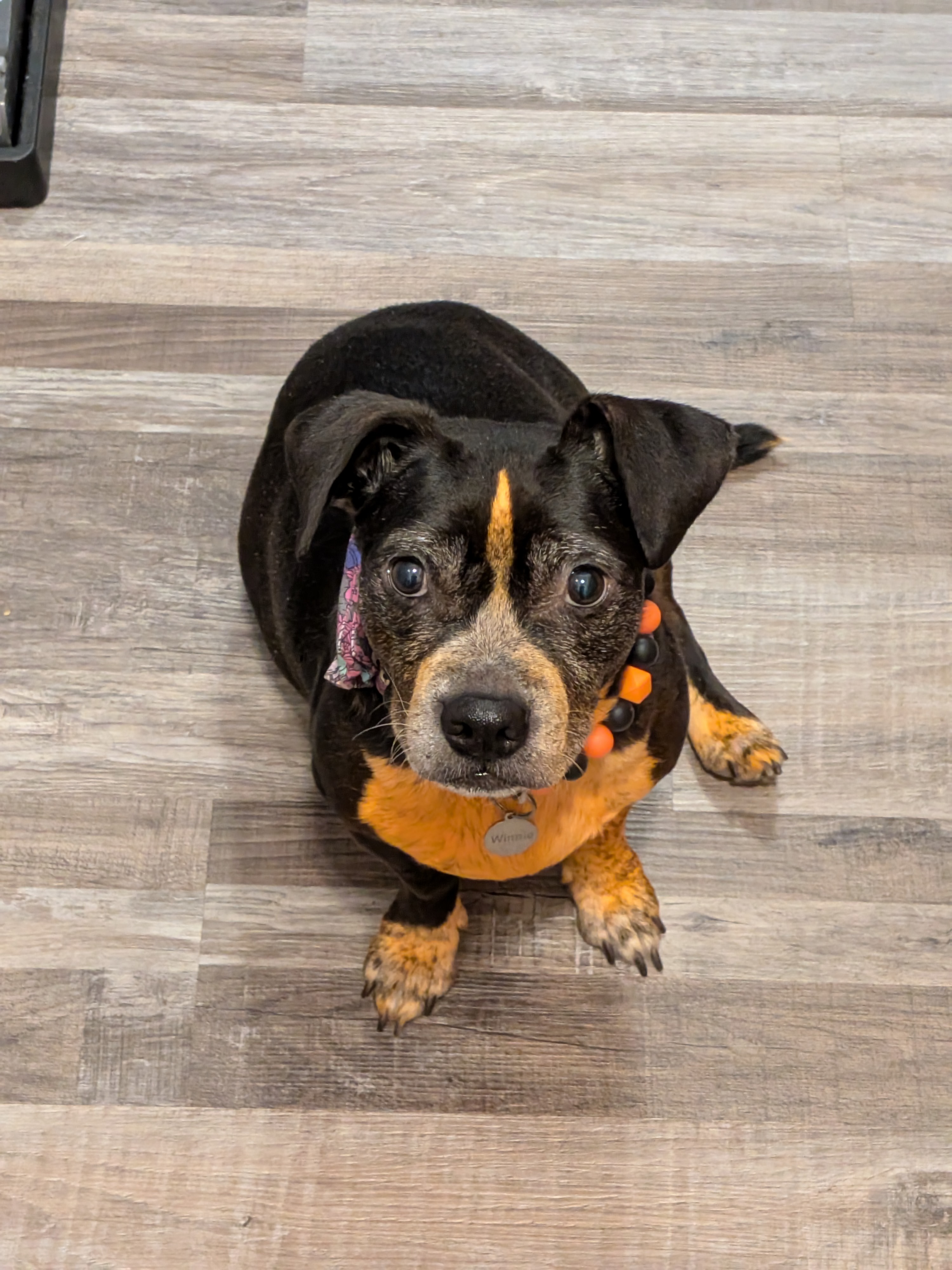 Help Winifred Get the Medical Care She Deserves campaign photo, 5 of 8
