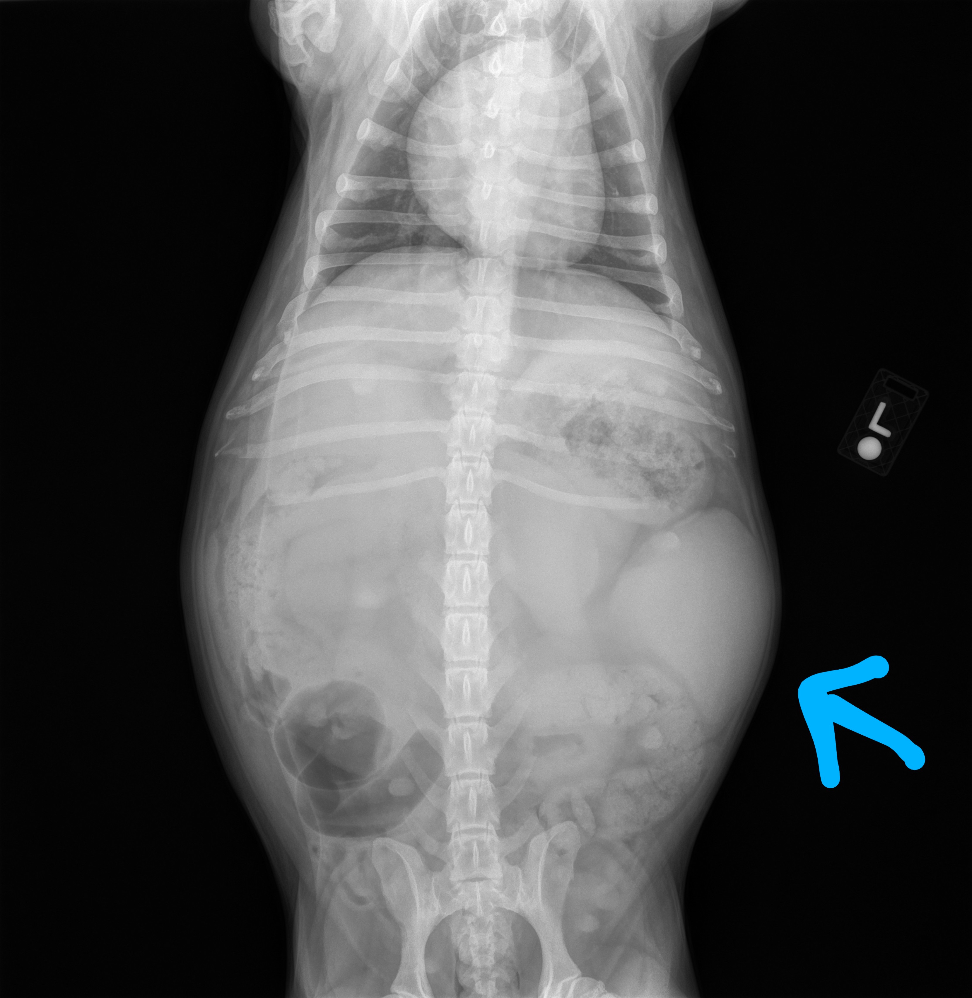 Help Winifred Get the Medical Care She Deserves campaign photo, 6 of 8