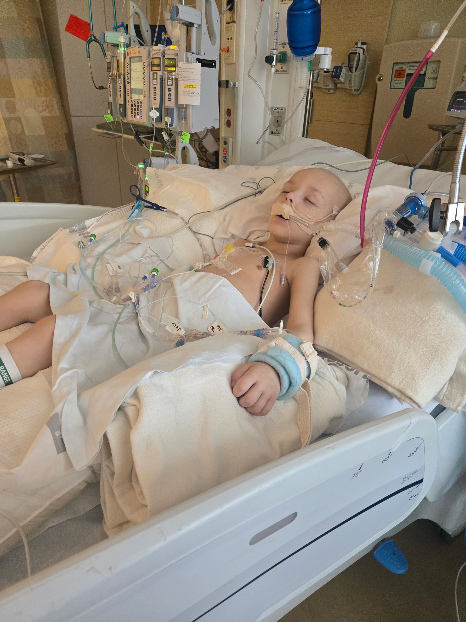 Help Rowie and Family Through Cancer Battle campaign photo, 8 of 13