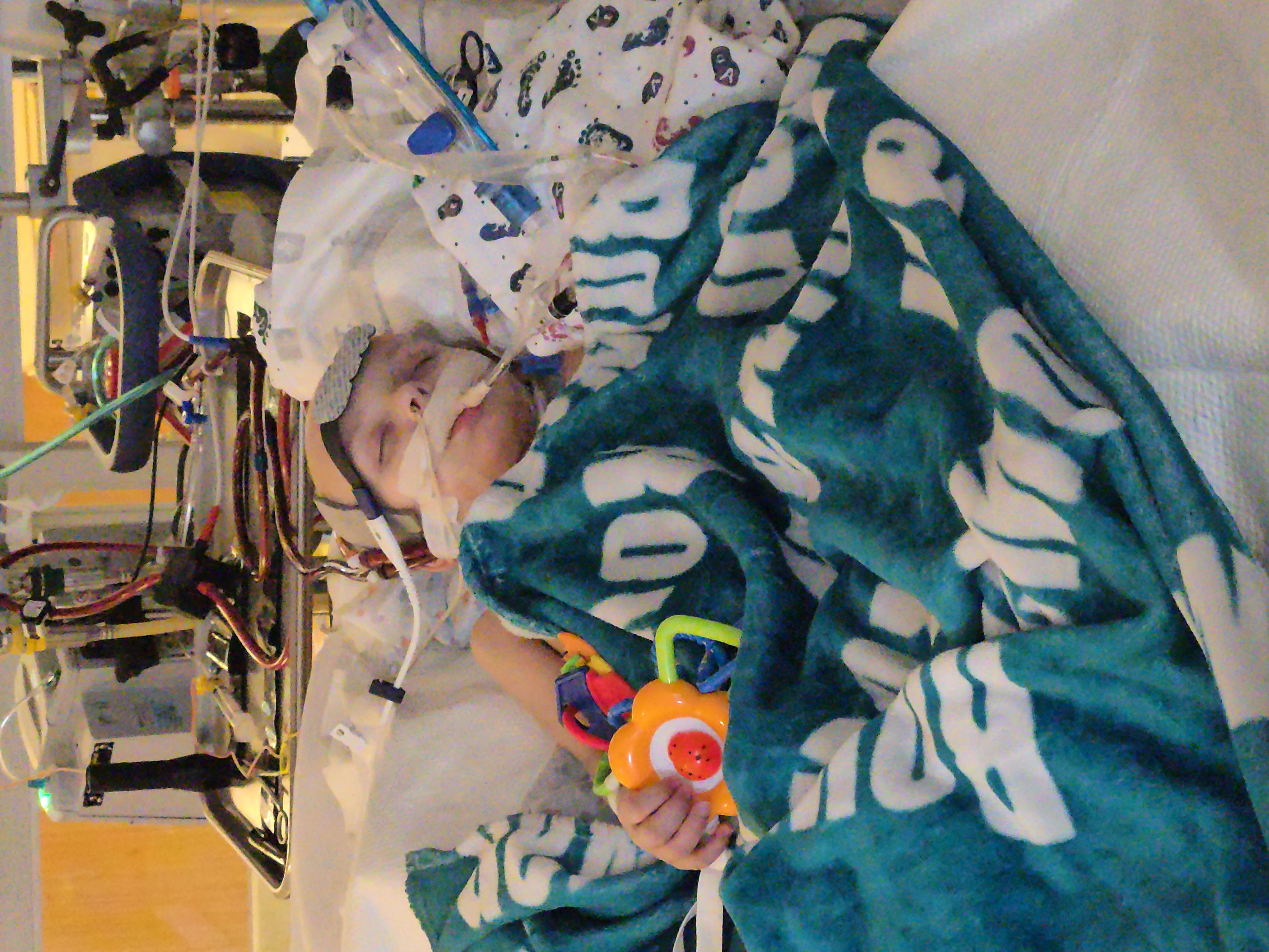 Help Rowie and Family Through Cancer Battle campaign photo, 11 of 13