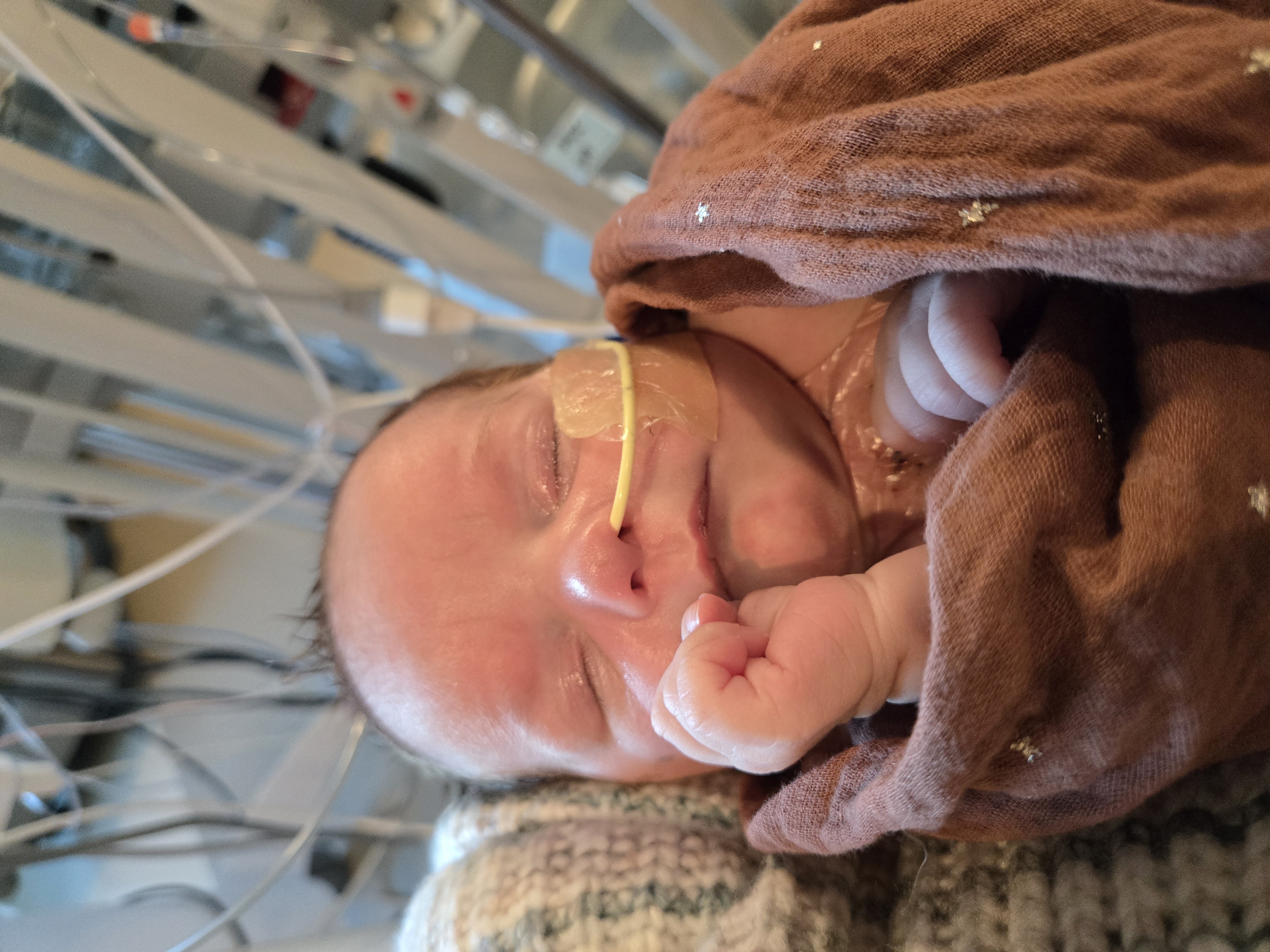 Help Liana Heal: Support for Our Family campaign photo, 4 of 7