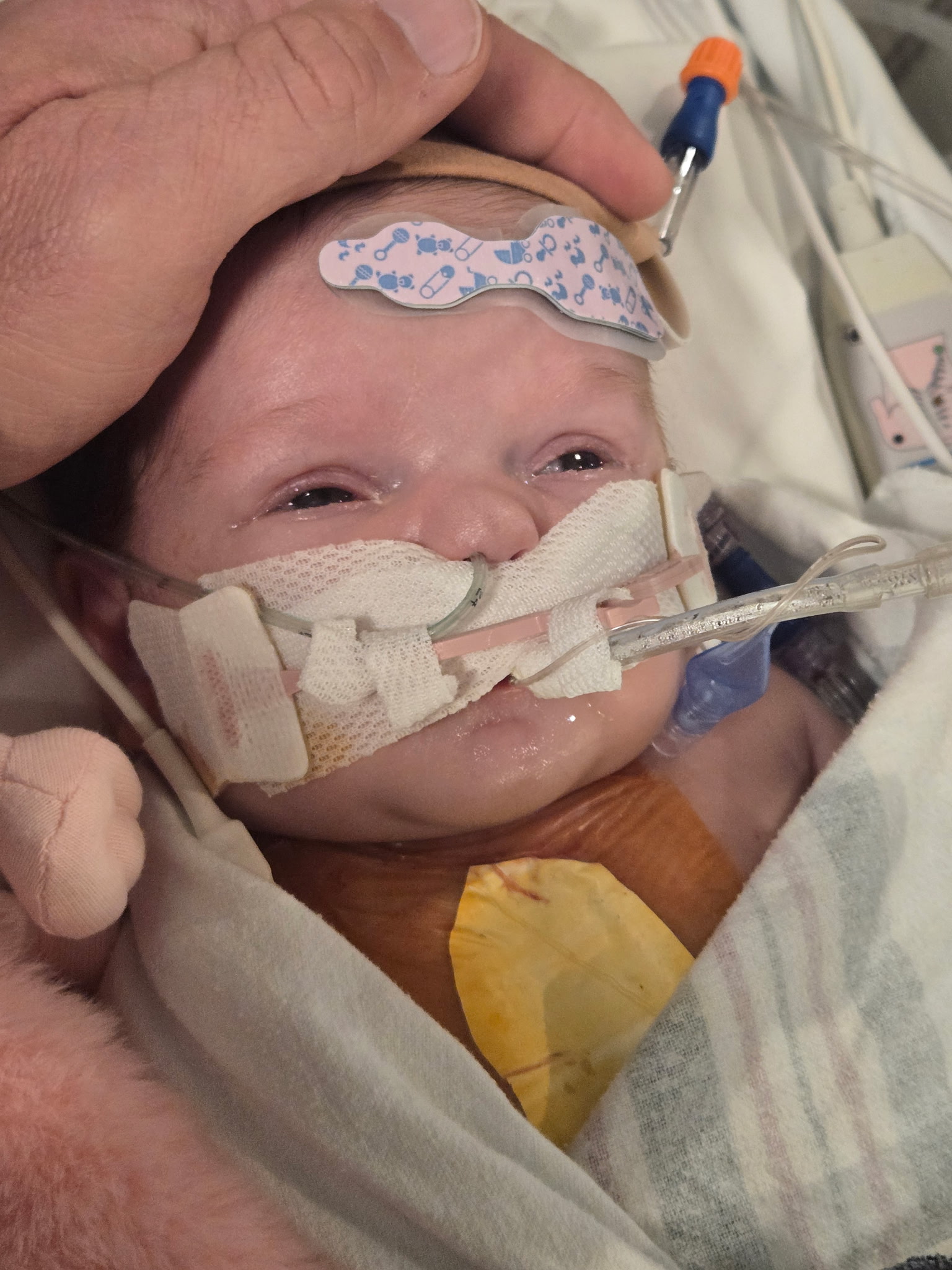 Help Liana Heal: Support for Our Family campaign photo, 5 of 7