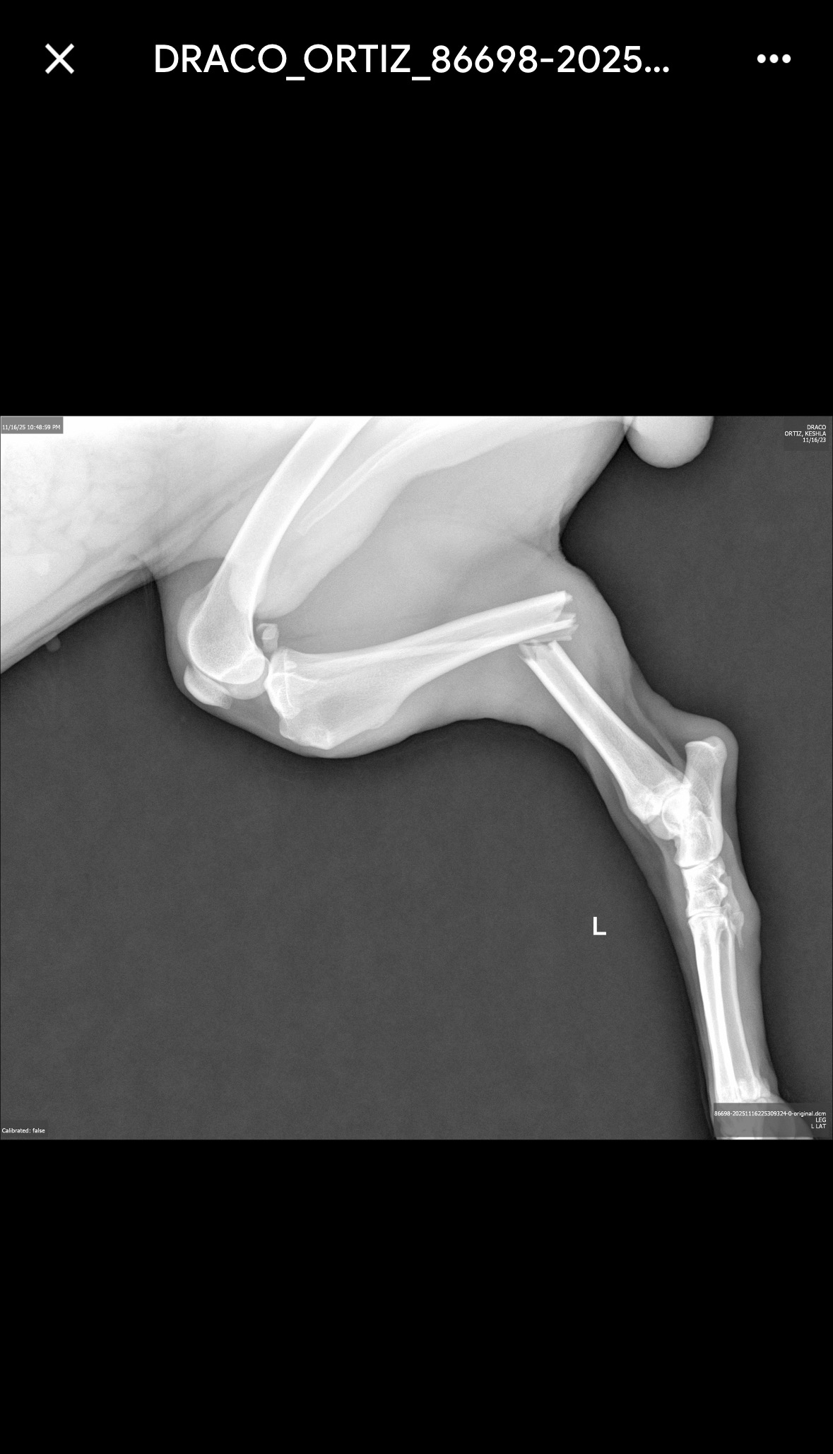 I need an urgent Operation campaign photo, 4 of 8
