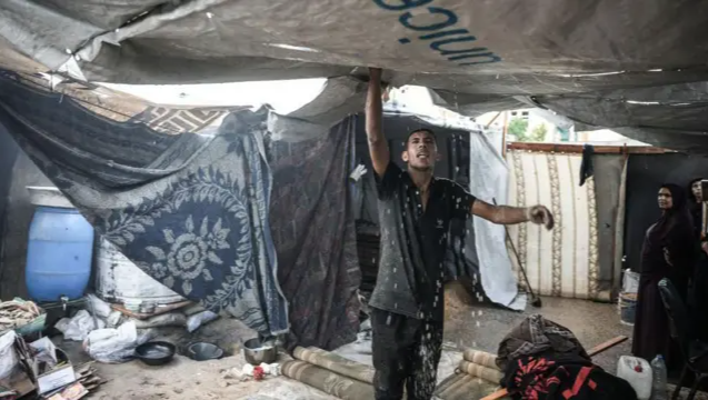 Fundraiser by Mohammed Mabrouk : Help me for my family in Gaza ( Malak ...