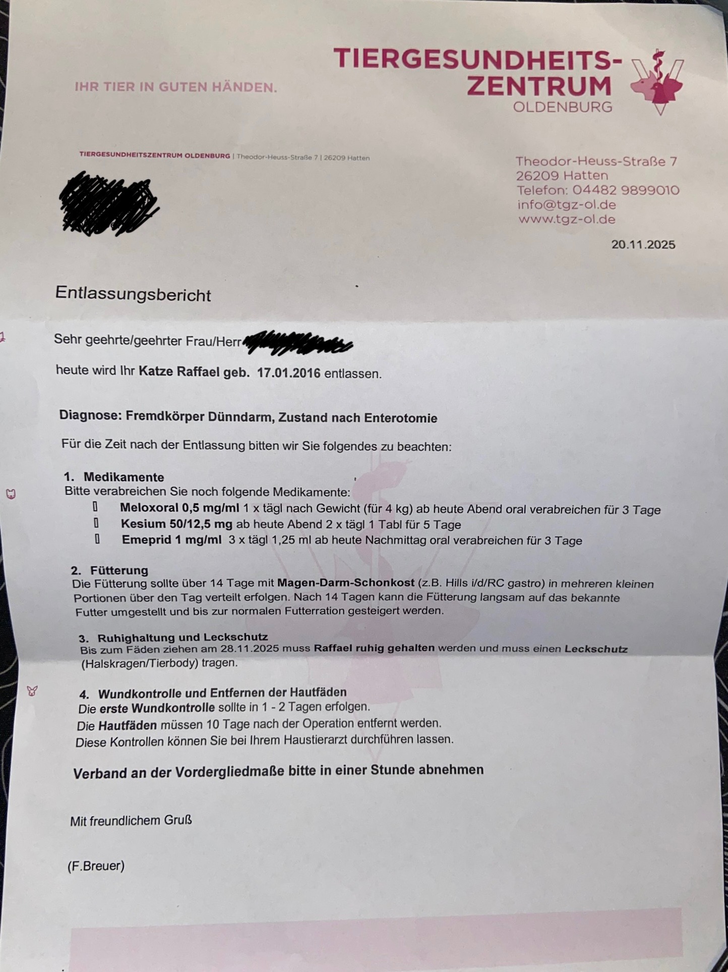 Für Raffael: Unser Herz auf 4 Pfoten braucht Unterstützung campaign photo, 7 of 8