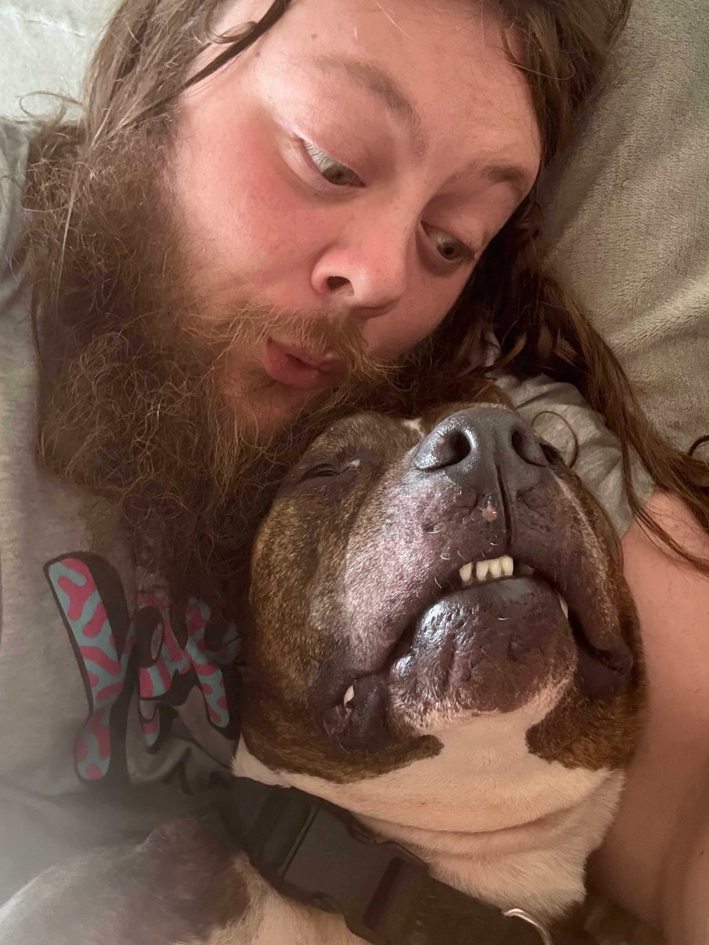 Help Indiana Bones Get Urgent Dental Care campaign photo, 5 of 8