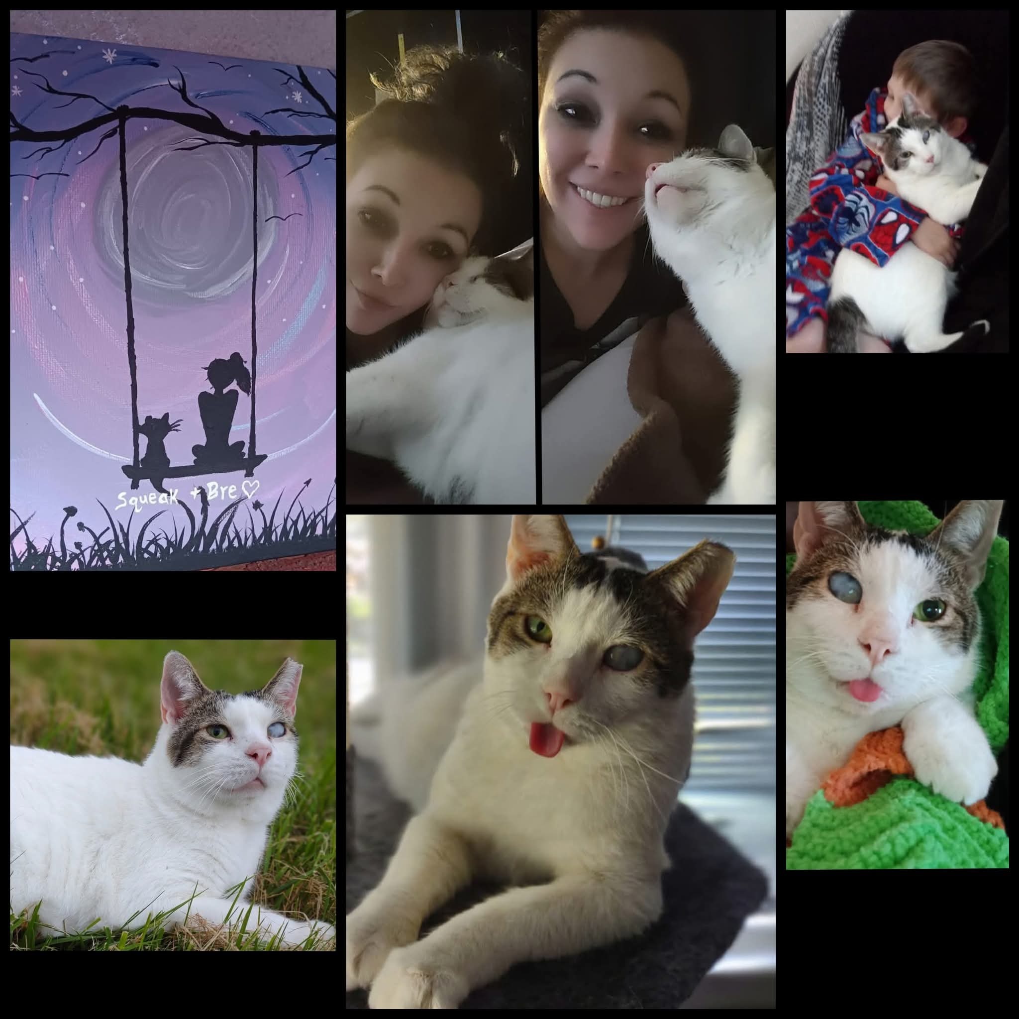 Support Squeak's Surgery for a Pain-Free Life campaign photo, 2 of 6
