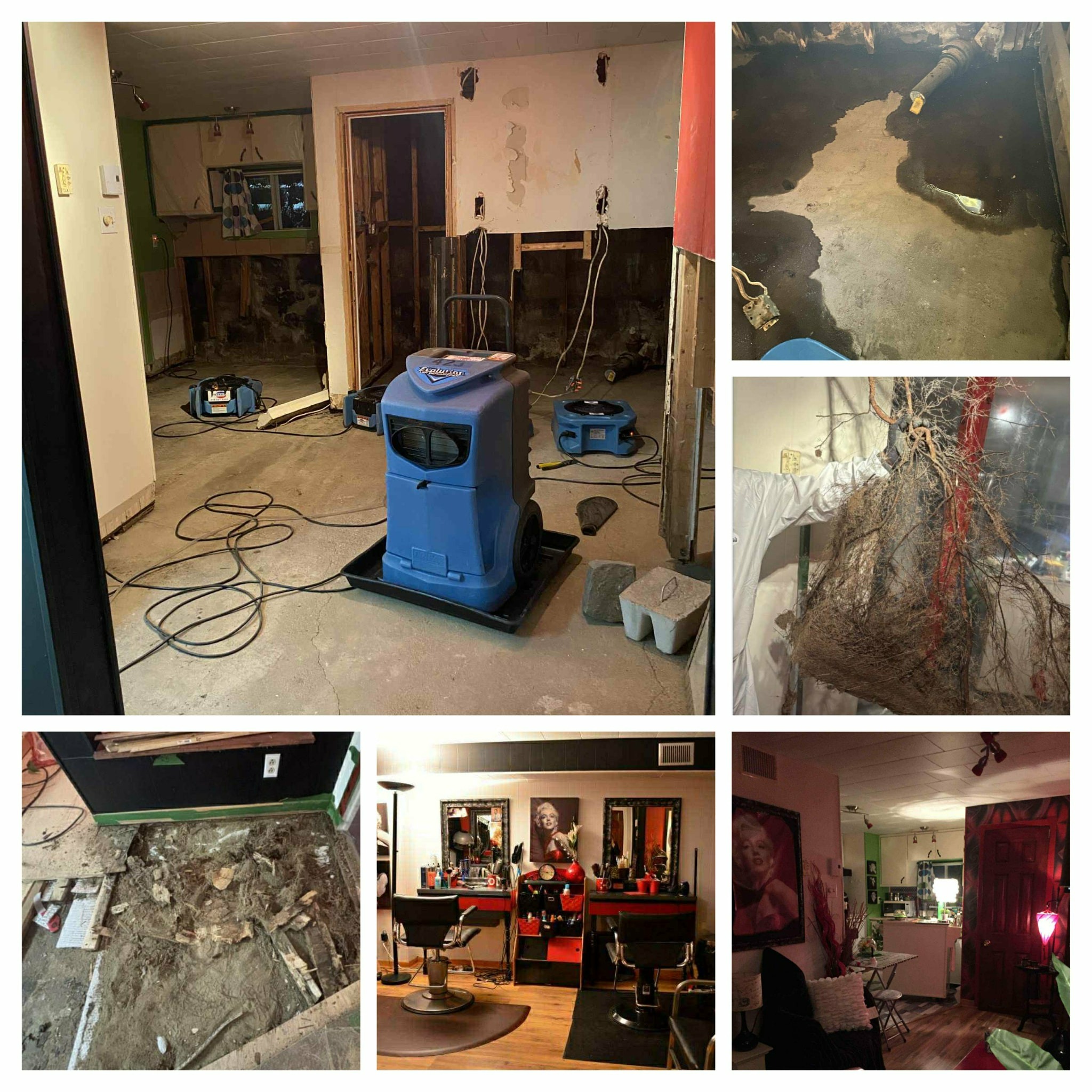 SOS pour Doris: reconstruire son salon coiffure et sous-sol campaign photo, 2 of 4