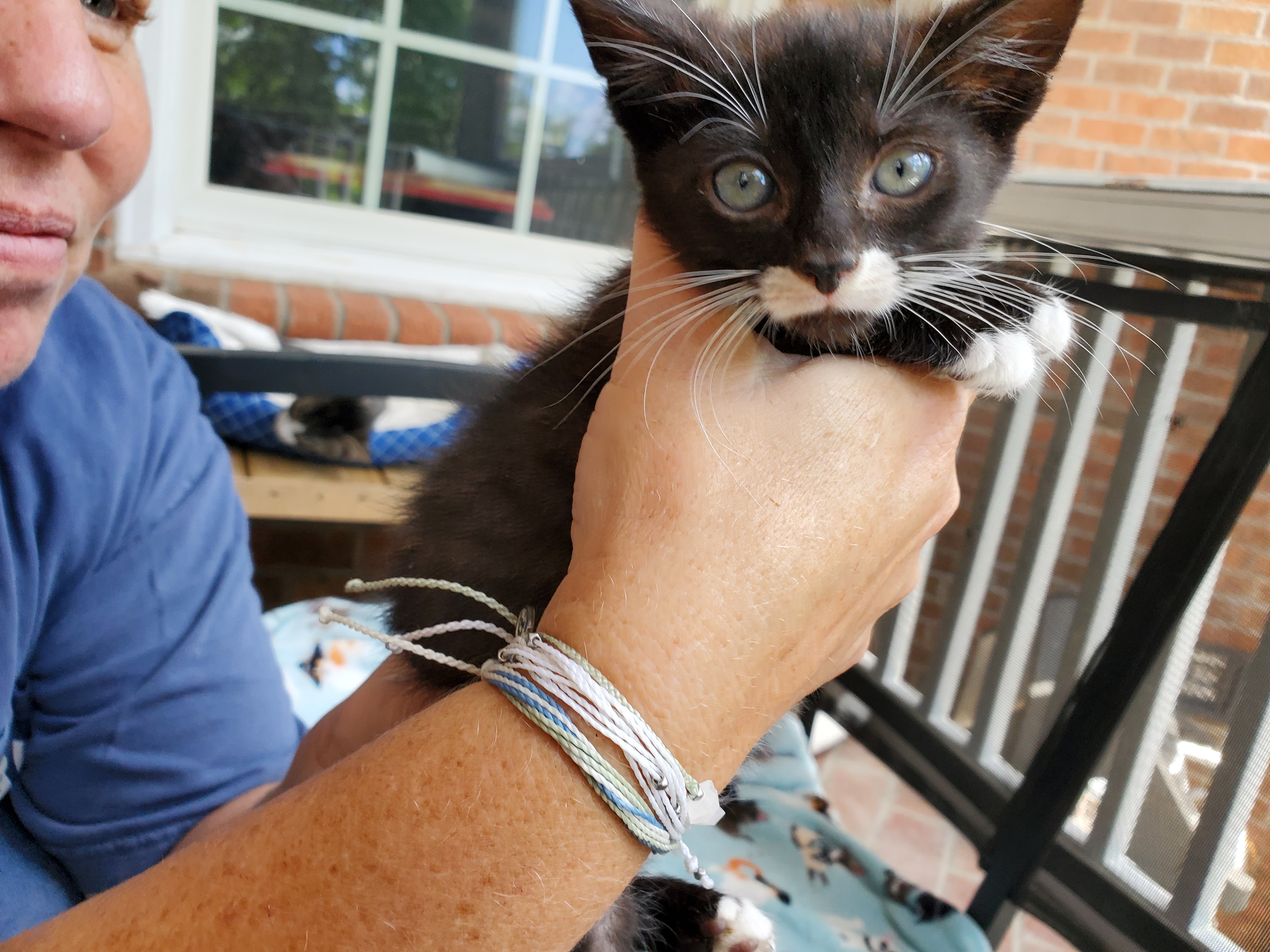 Help Sherlock Get Life-Changing Dental Surgery campaign photo, 2 of 8