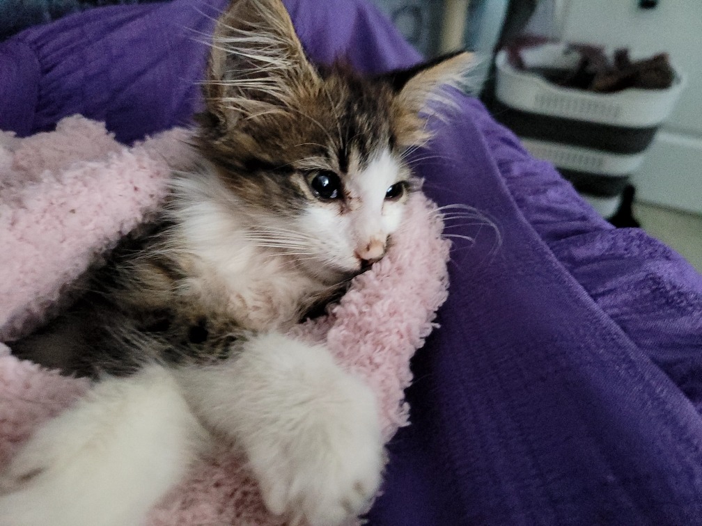 Frodo's FIP Fund campaign photo, 7 of 7