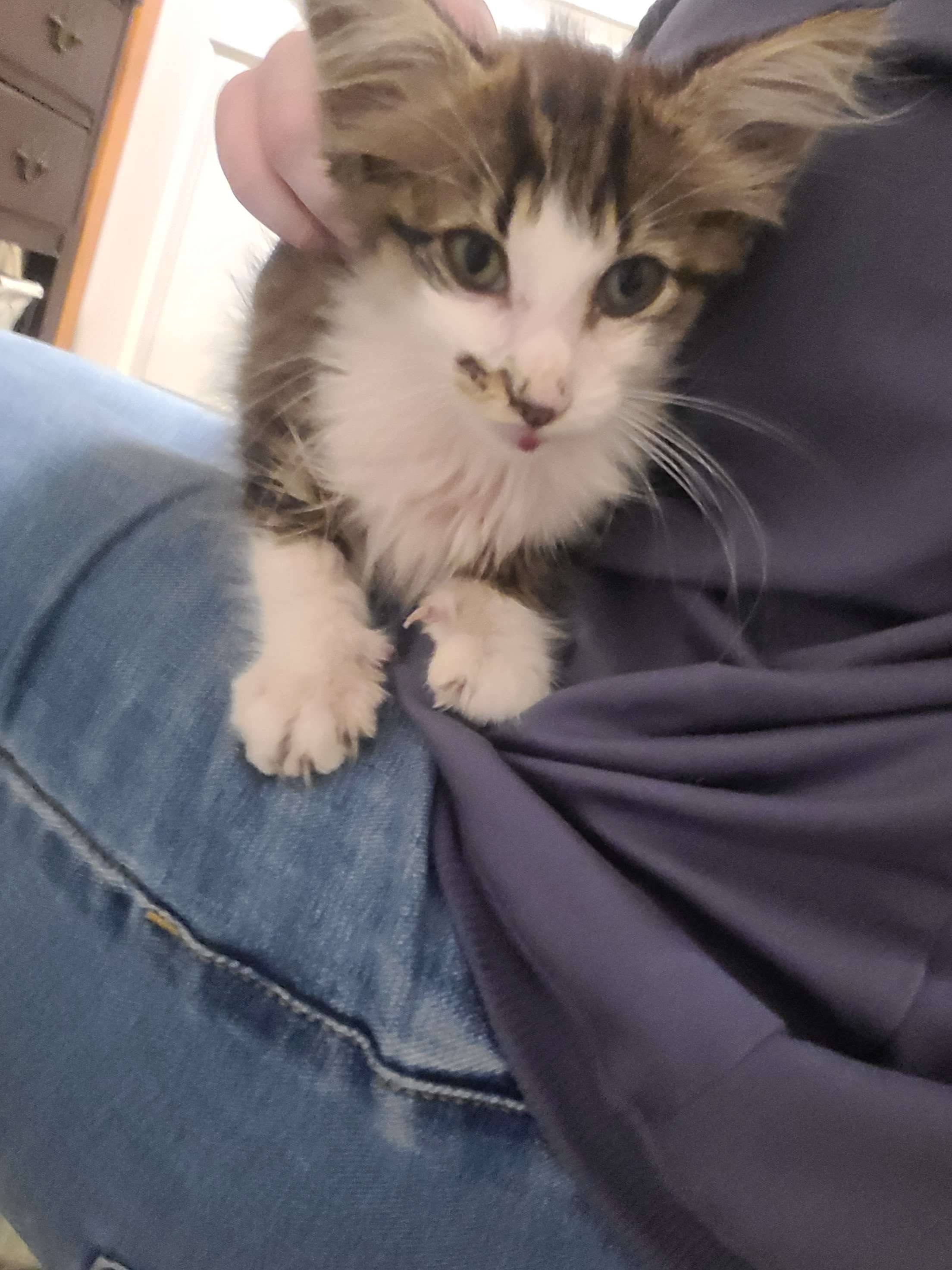 Frodo's FIP Fund campaign photo, 4 of 7