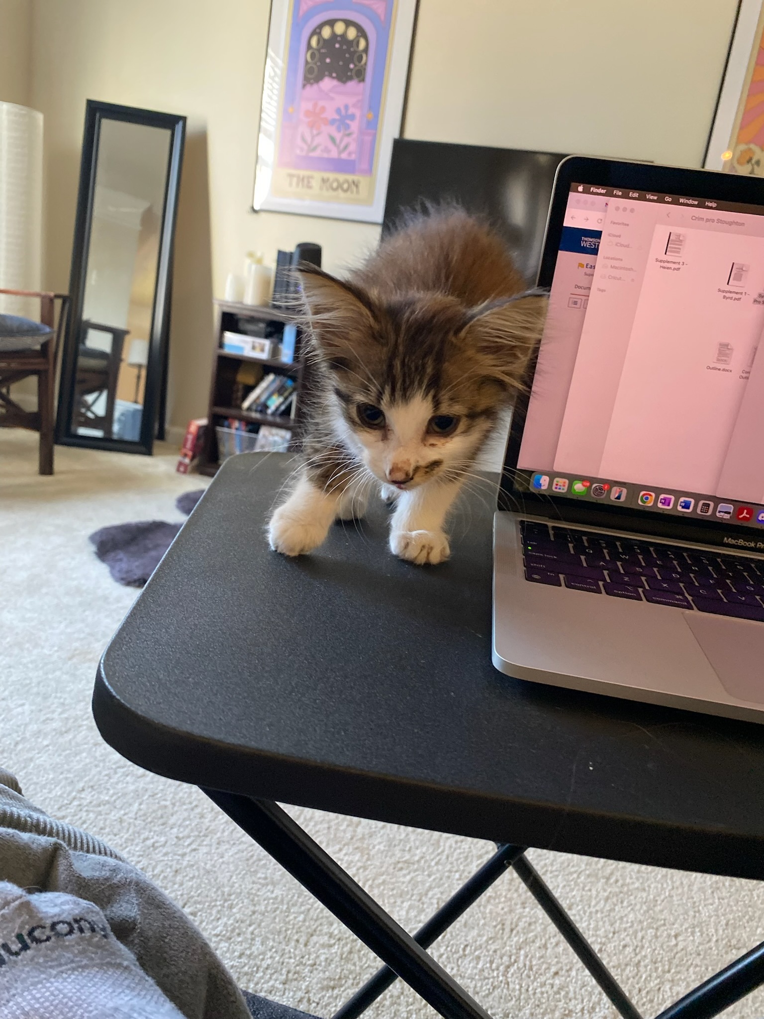 Frodo's FIP Fund campaign photo, 5 of 7