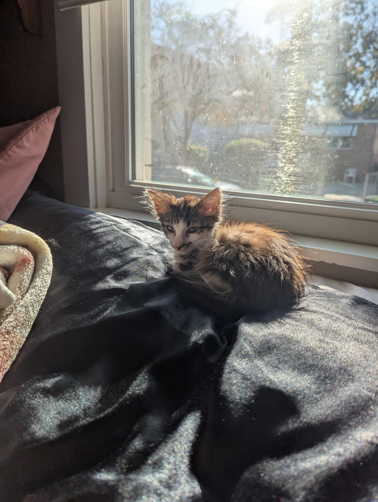 Frodo's FIP Fund campaign photo, 6 of 7