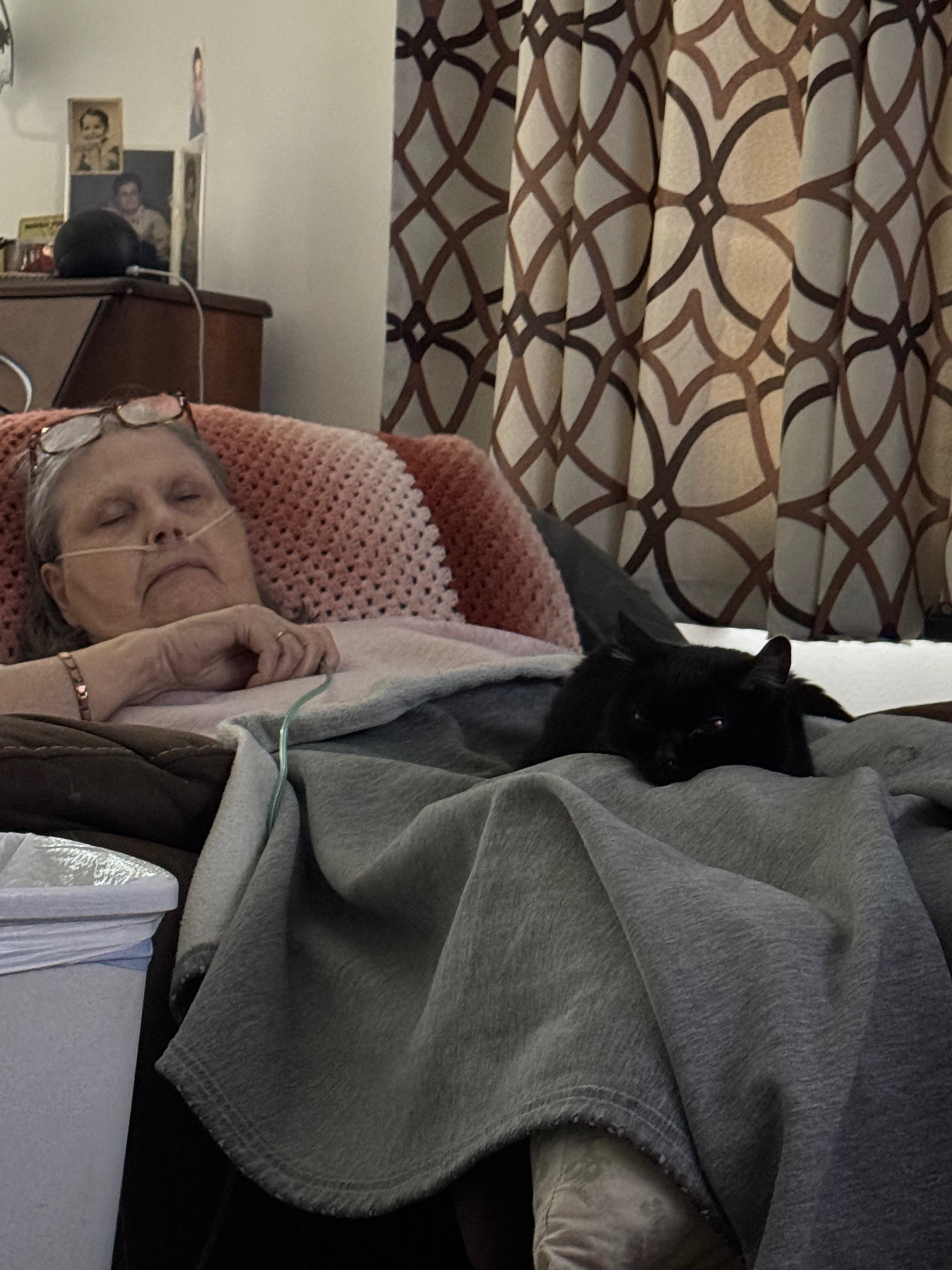 Support for Carol’s Comfort Care at Home campaign photo, 5 of 7