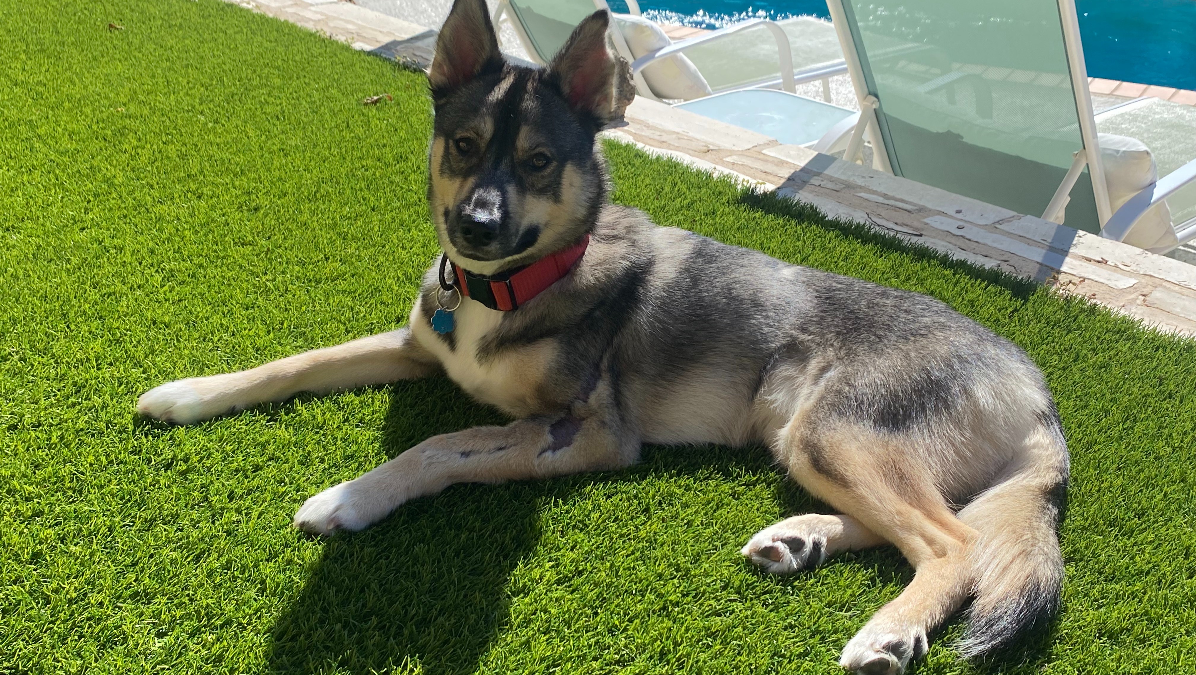 Support Molly's Hip Replacement Surgery photo