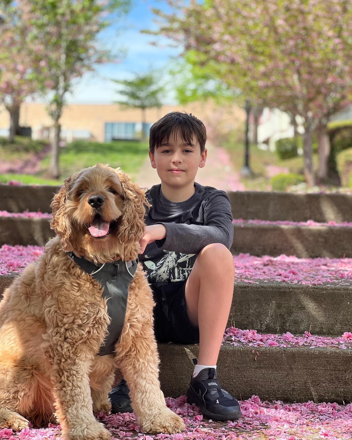 Help Hurley Get  Eye removal Surgery campaign photo, 2 of 8