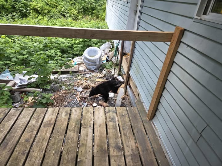 Last option before front ramp and back deck completely falls campaign photo, 4 of 5