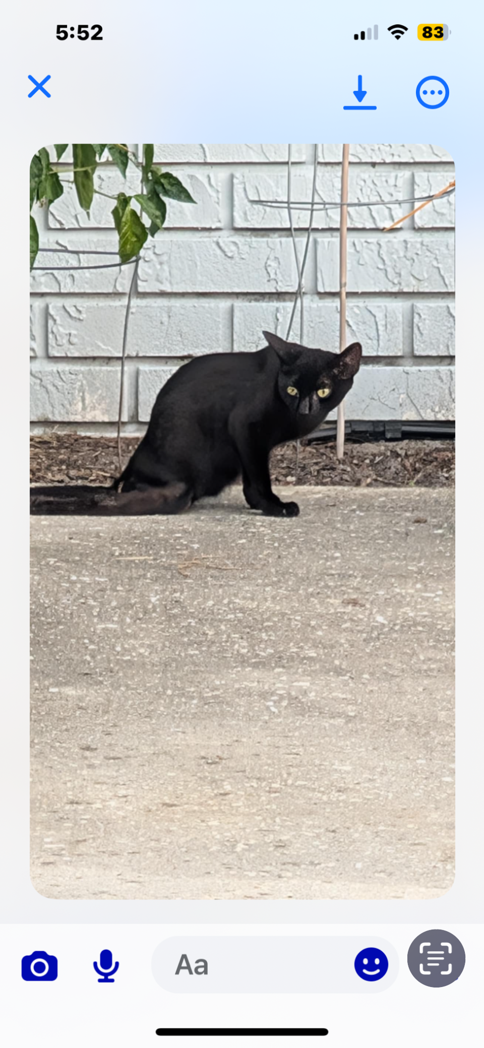 Help Norman Keep His Home and Cats campaign photo, 6 of 8