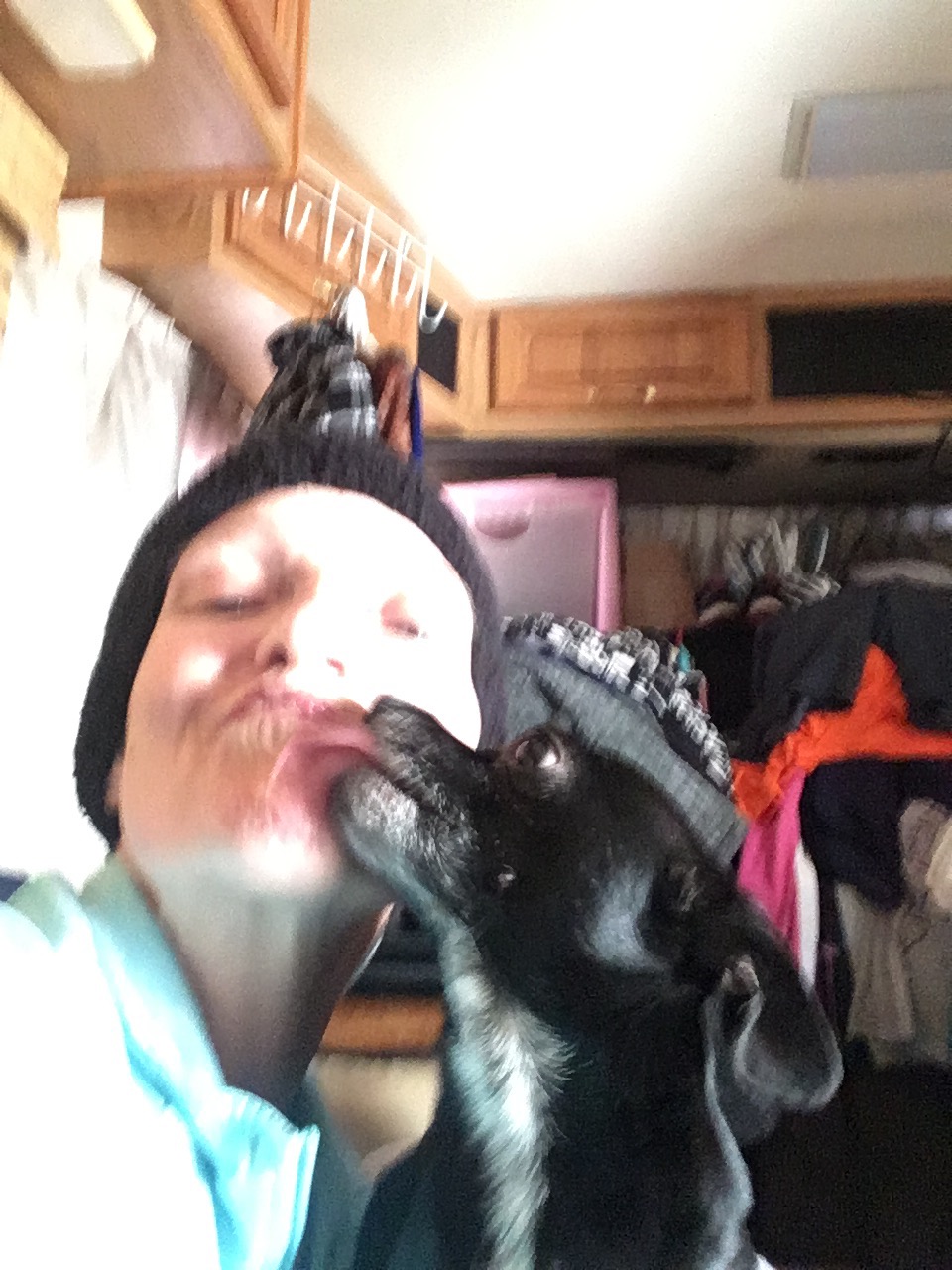 Help Ekco & Dogs Move Home & Start MS Treatment campaign photo, 7 of 8