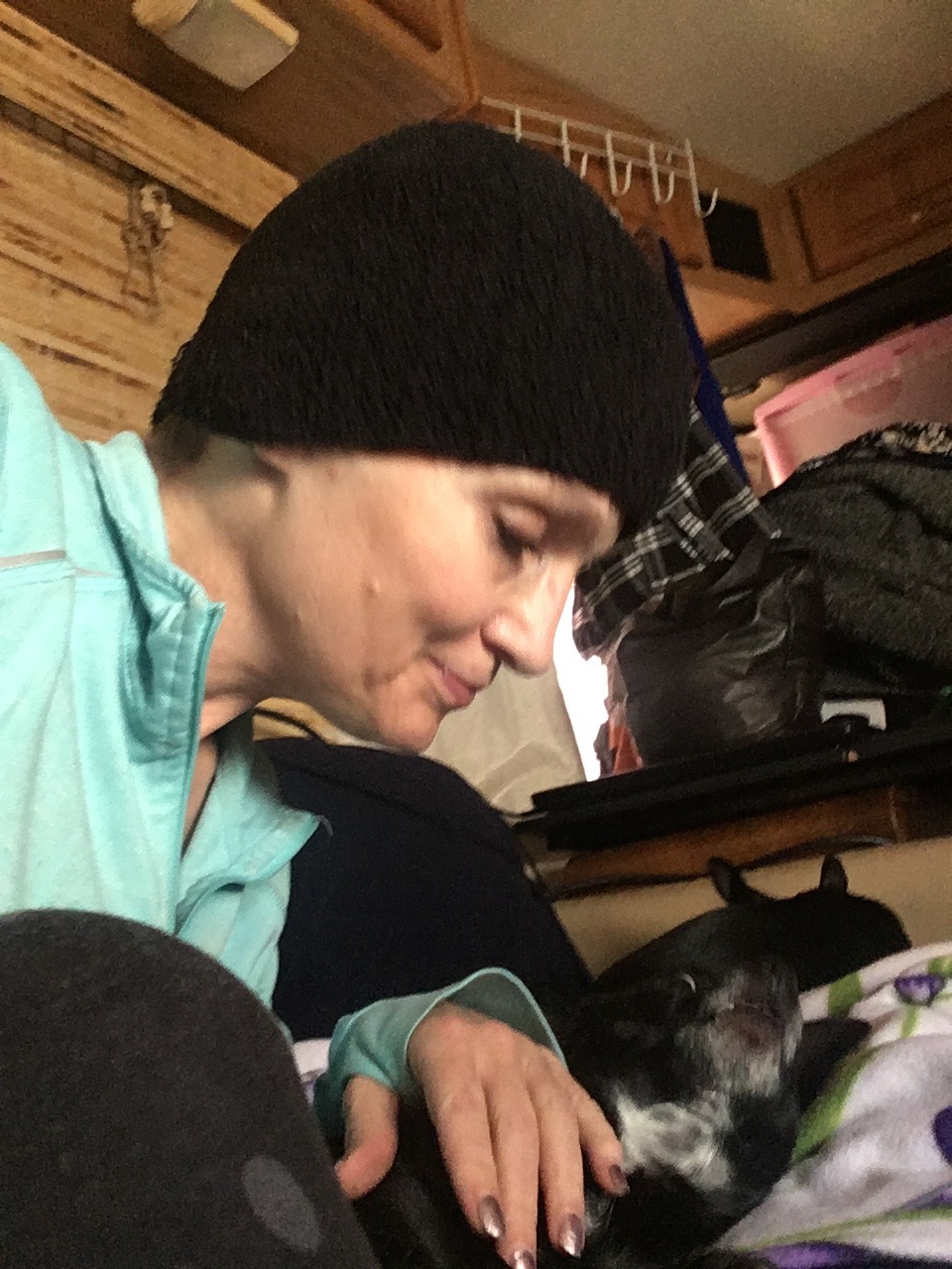 Help Ekco & Dogs Move Home & Start MS Treatment campaign photo, 4 of 8