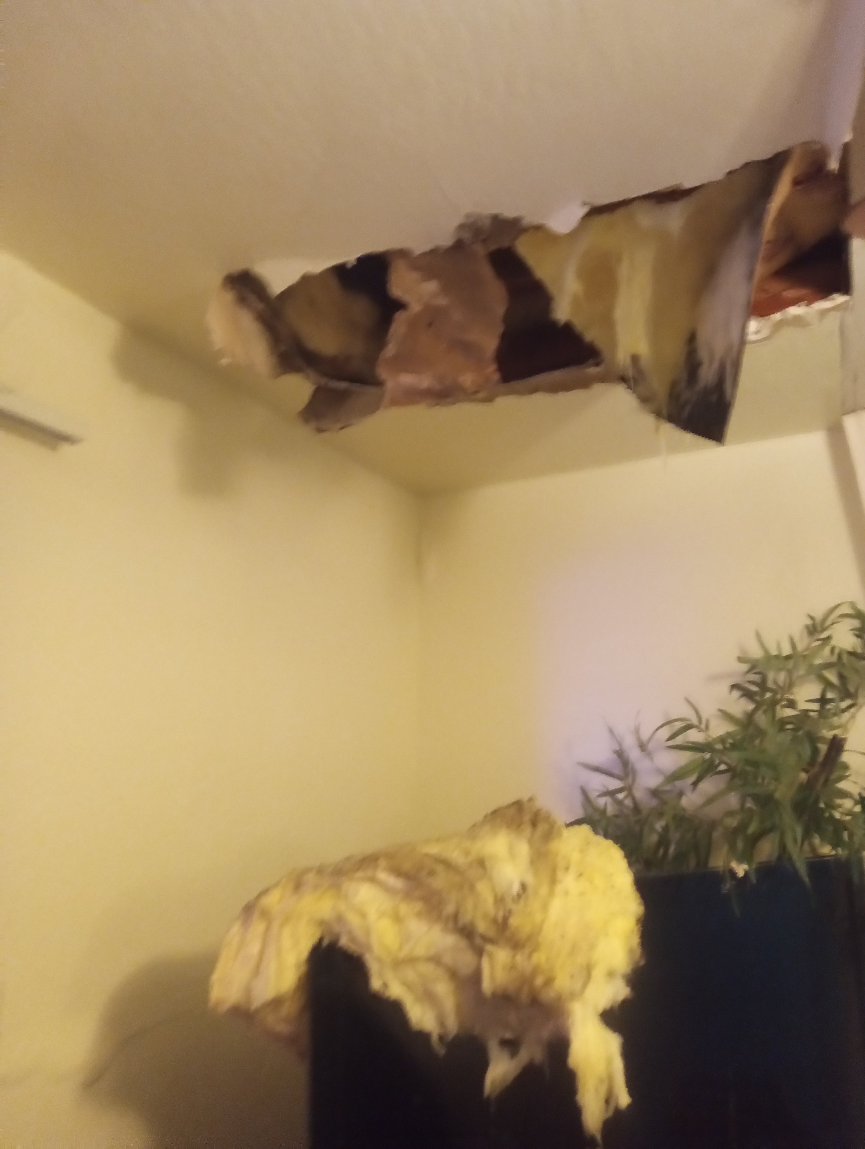 Help replace lost items from roof cave in campaign photo, 4 of 7