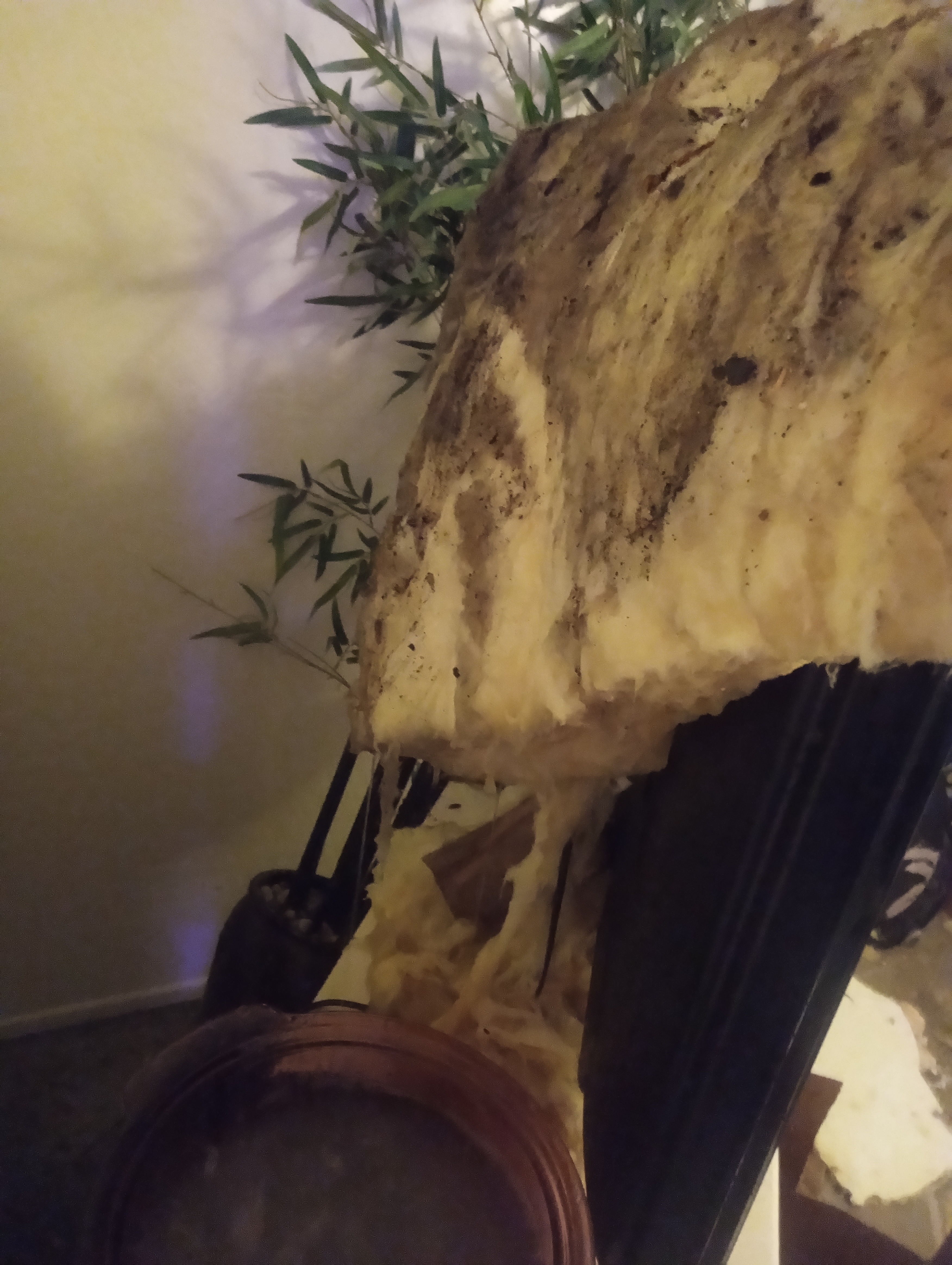 Help replace lost items from roof cave in campaign photo, 5 of 7