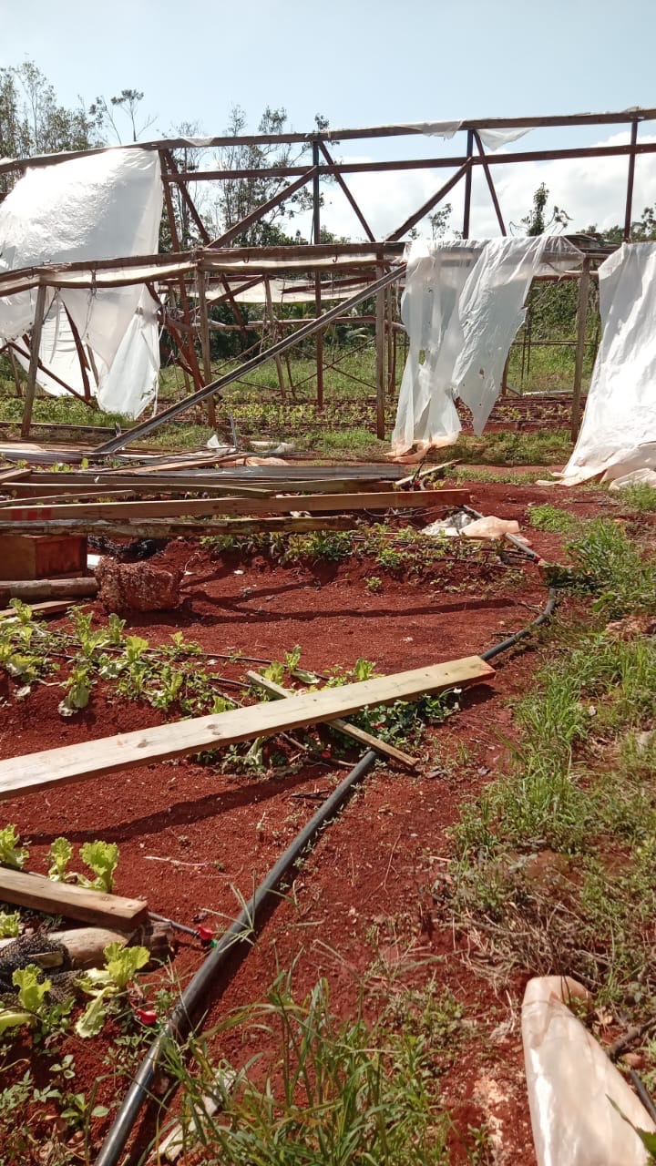 Support Aunt's Recovery from Hurricane Devastation campaign photo, 2 of 7