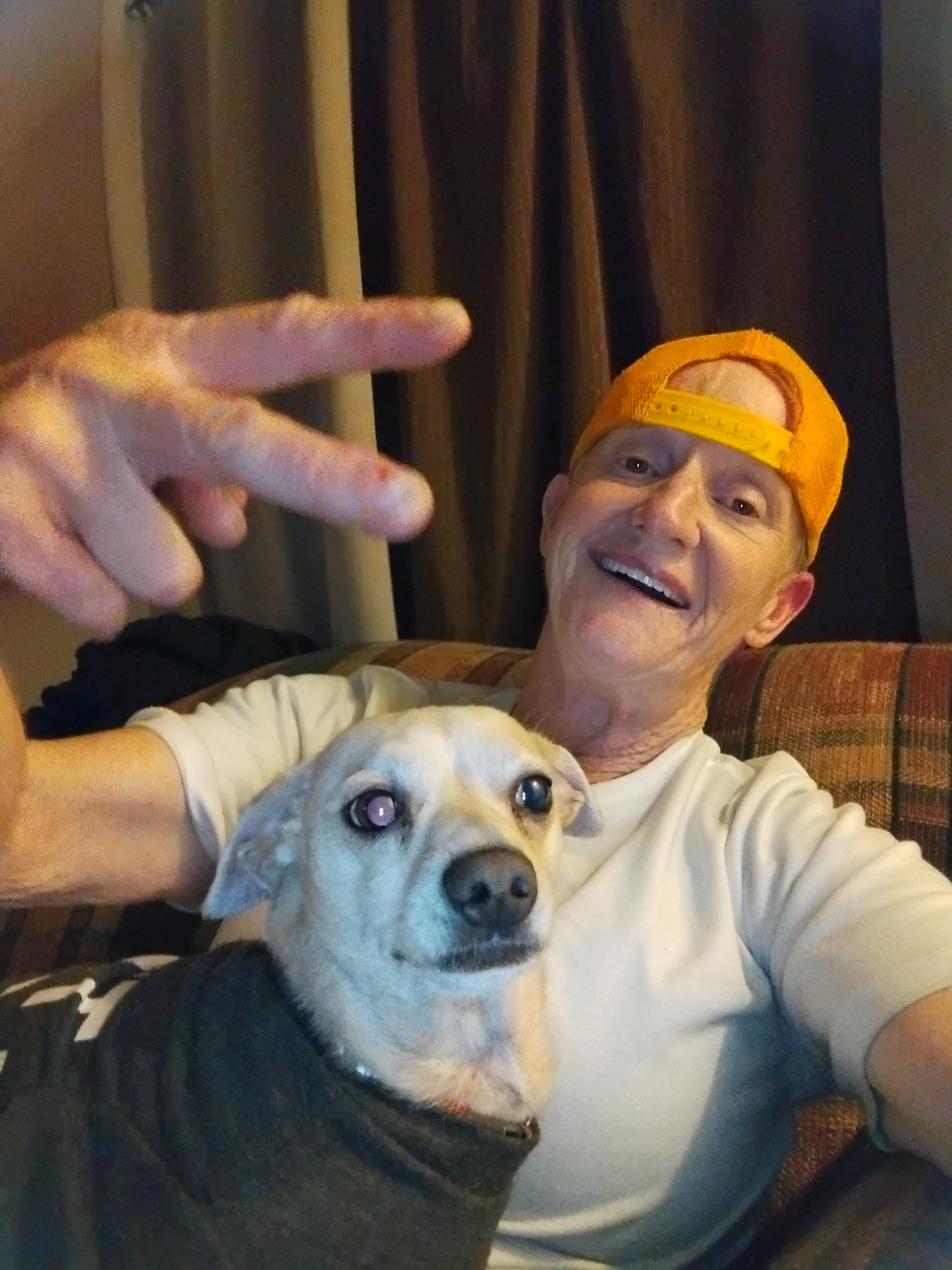 Help Tresa and Her Dogs Find a New Home campaign photo, 5 of 7