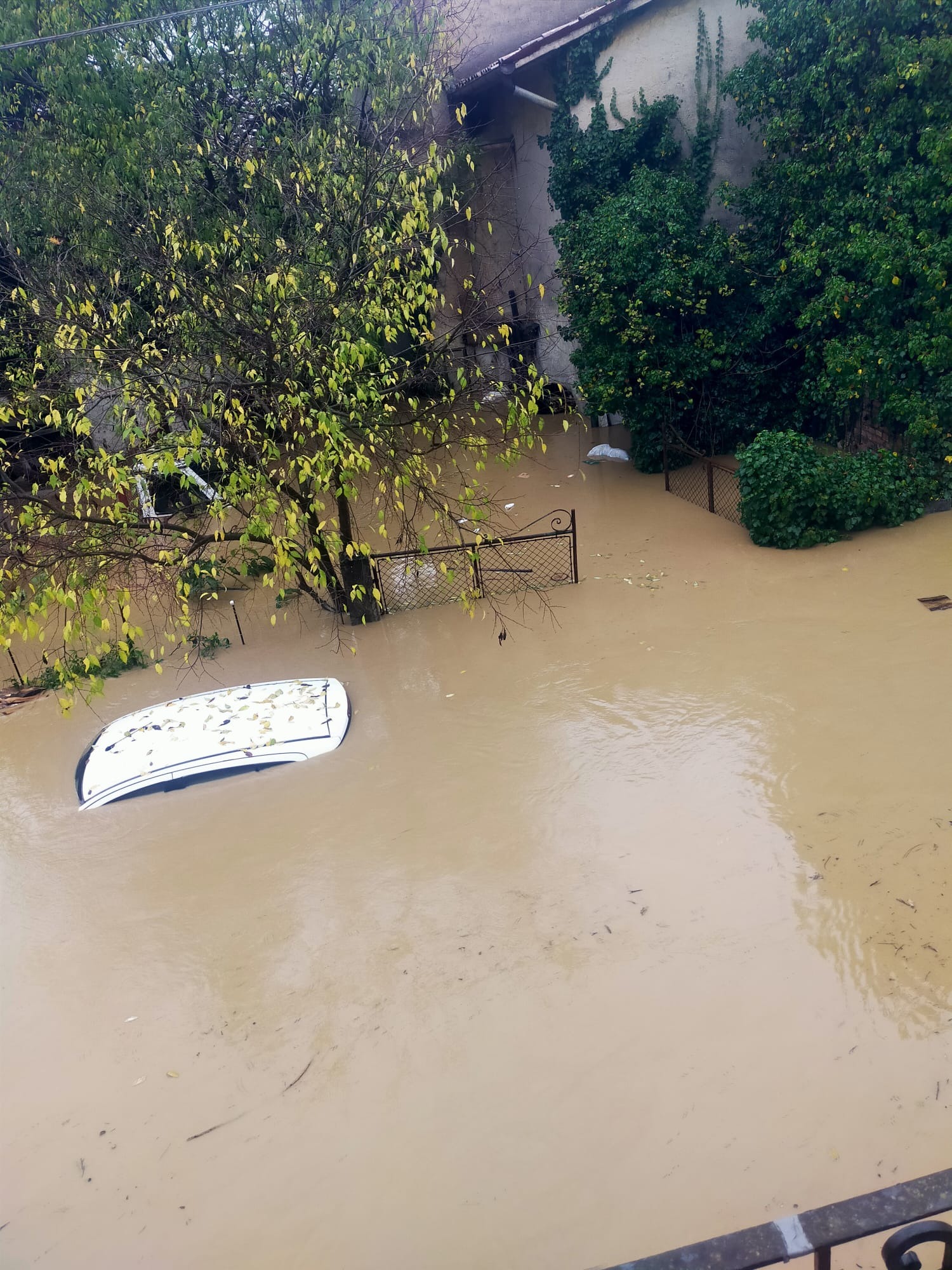 Flood in Versa on 17 Nov 2025—please help my family rebuild campaign photo, 2 of 8