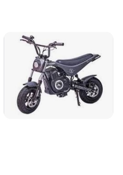 Help Billie Jean Replace Stolen E-Bike campaign photo, 4 of 5