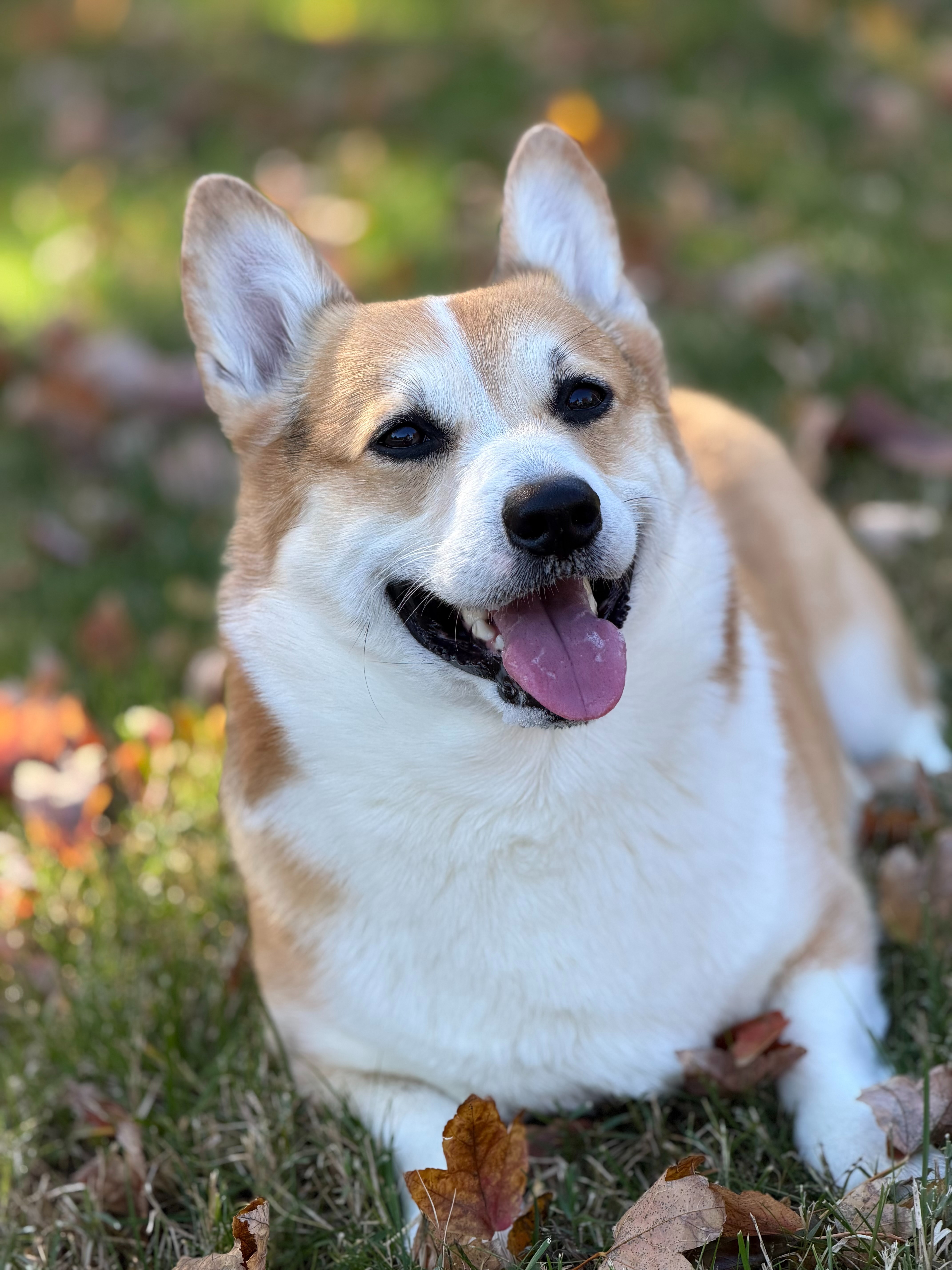 Help Yota Get the MRI He Needs campaign photo, 7 of 8