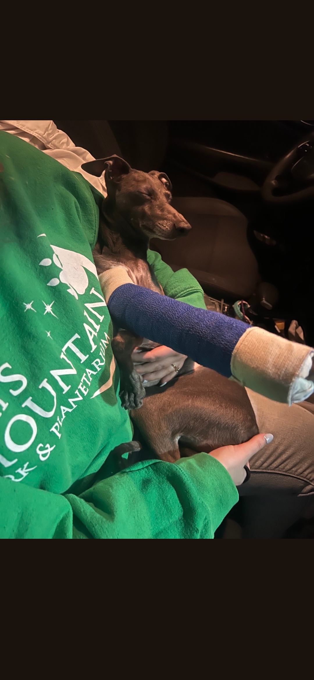 Aid Elvis's Recovery: Help Brooke's Family campaign photo, 2 of 4