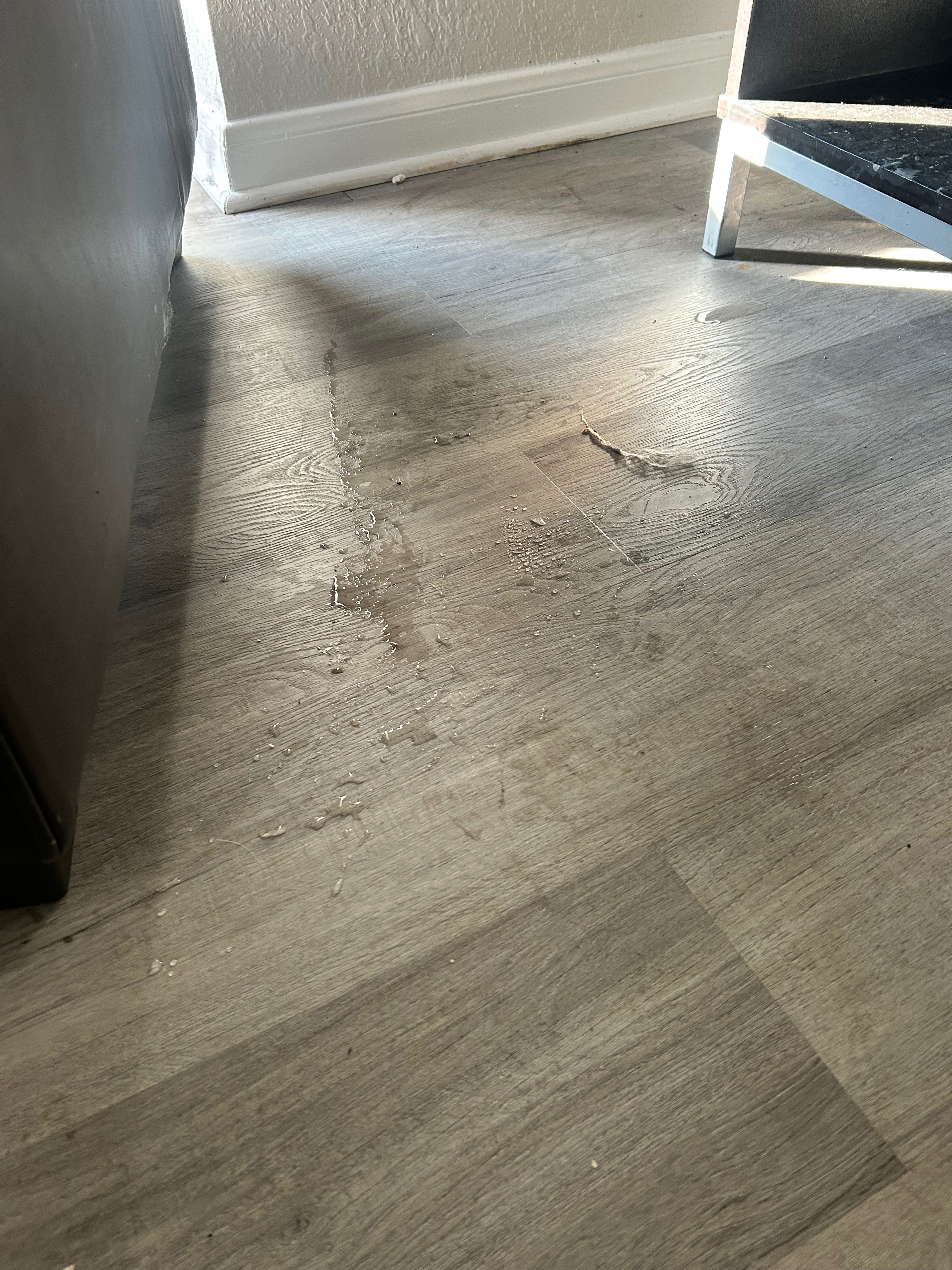 Help my daughter after her apartment flooded. campaign photo, 4 of 6
