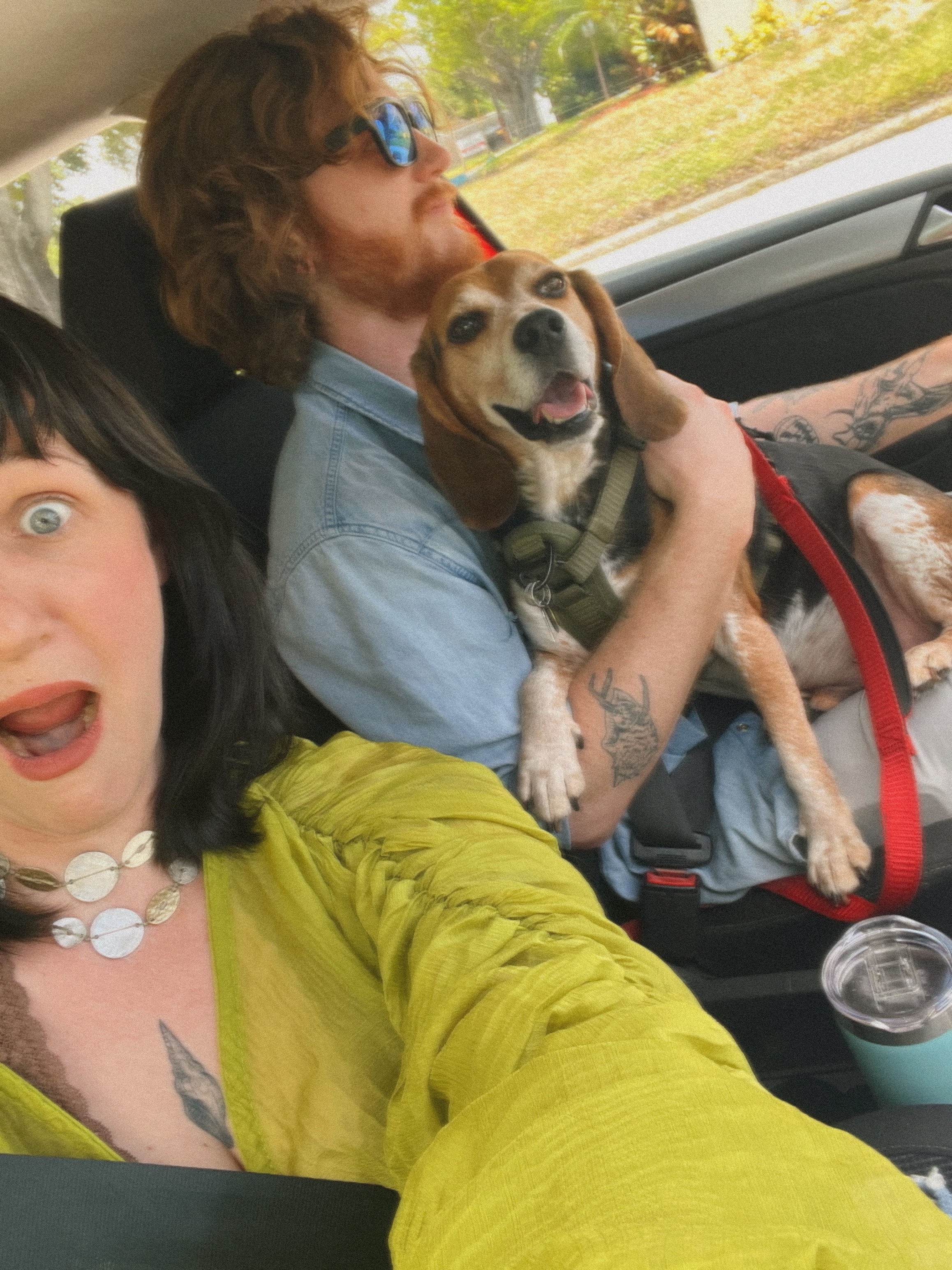 Help with Cooper's Life-Saving Surgery campaign photo, 2 of 8