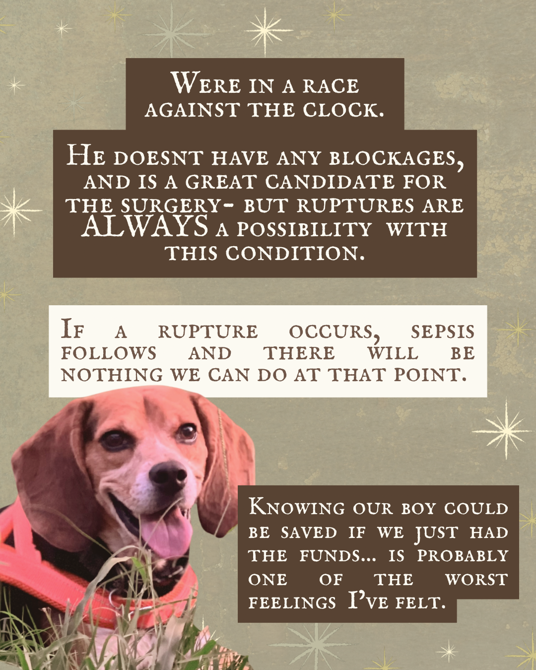Help with Cooper's Life-Saving Surgery campaign photo, 5 of 8