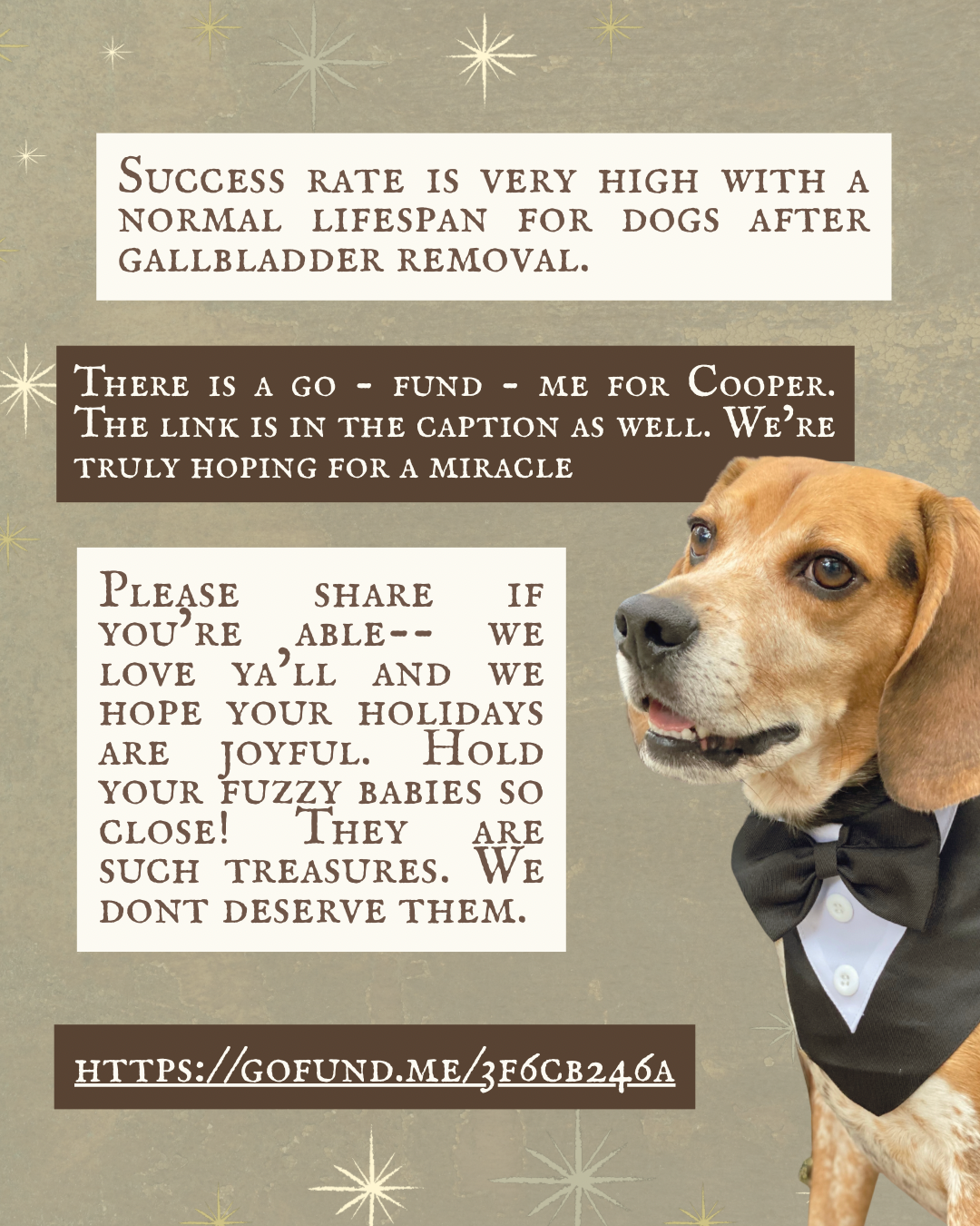 Help with Cooper's Life-Saving Surgery campaign photo, 6 of 8